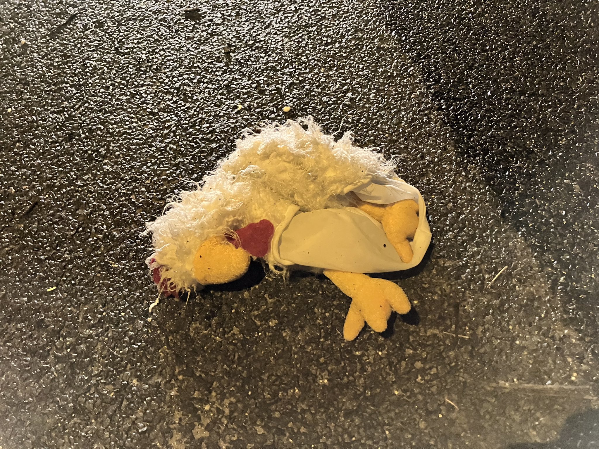 ‘Dood dier’ op de vluchtstrook blijkt toch wat anders