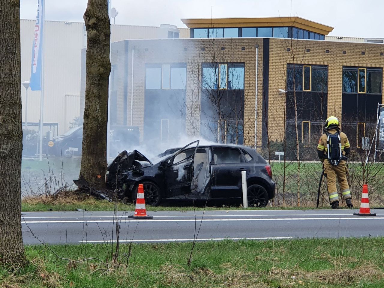 Automobilist ramt boom en overlijdt