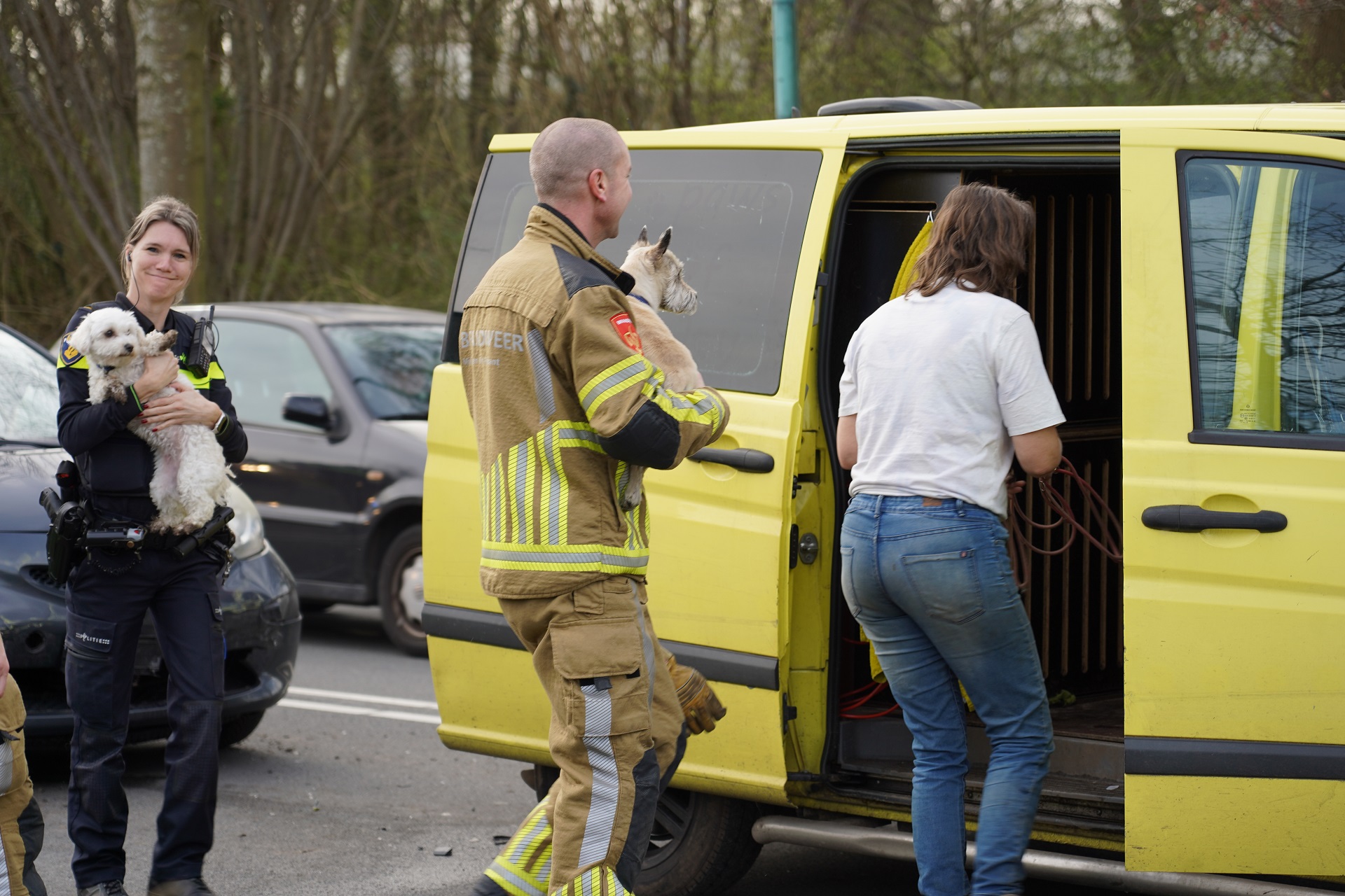 Brandweer bevrijdt 9 honden na kettingbotsing