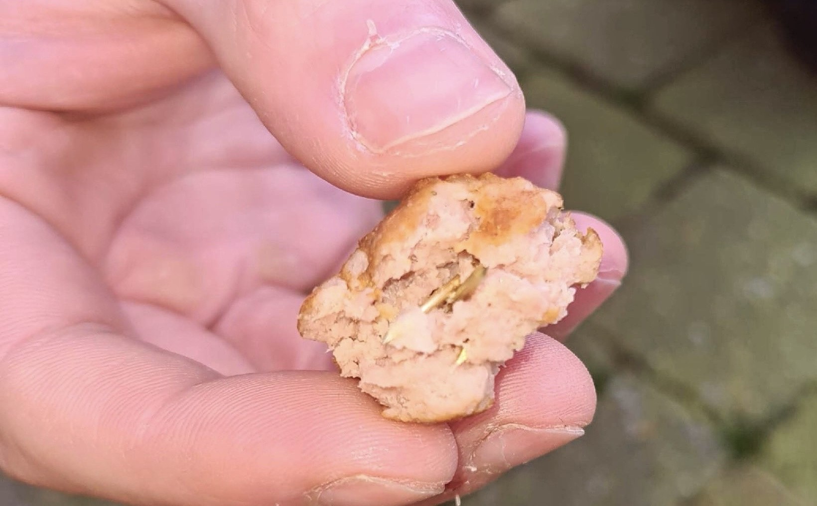 Gehaktballetjes met spijkers aangetroffen, politie waarschuwt hondeneigenaren