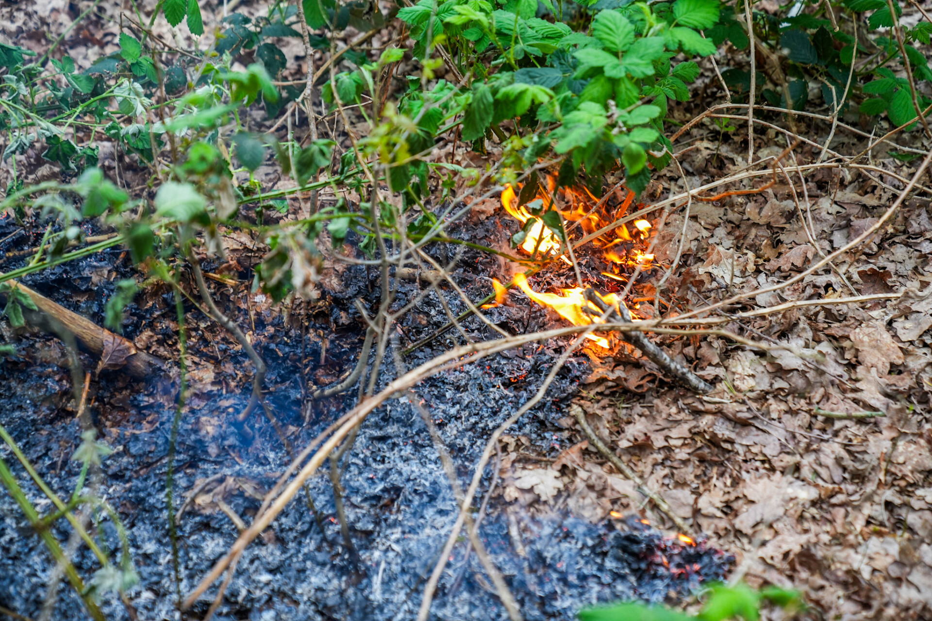 Jonge jongens stichten brand en nemen de benen