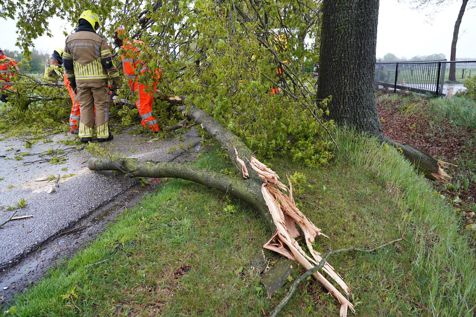 Boom ‘explodeert’ door blikseminslag, weg versperd