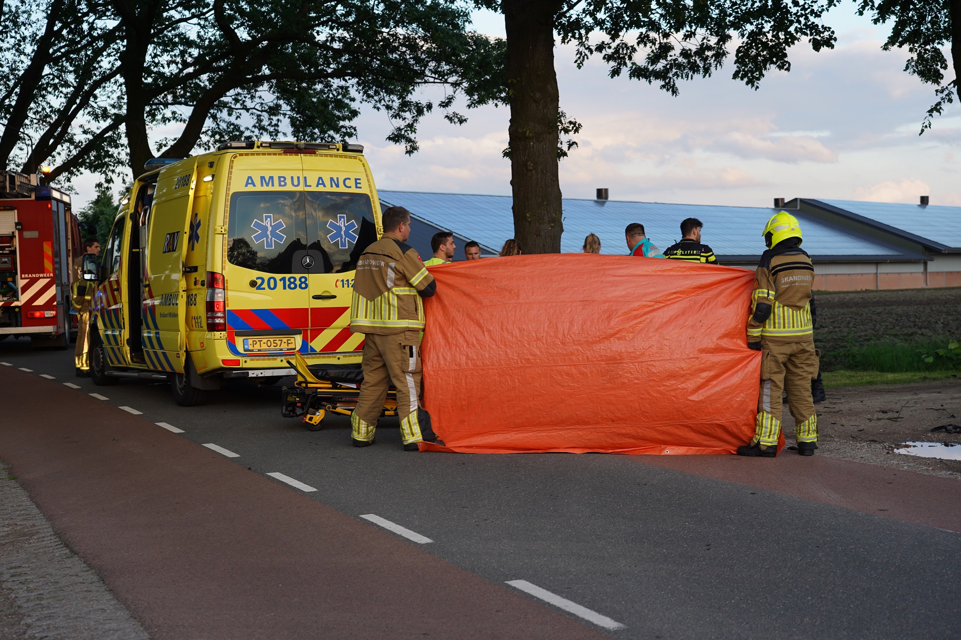 Bestuurder overleden na aanrijding met boom