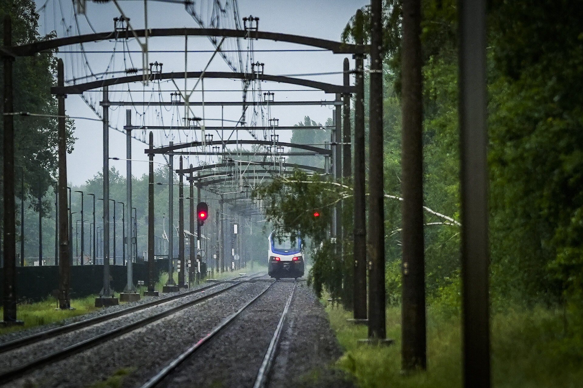 Trein botst tegen boom op spoor