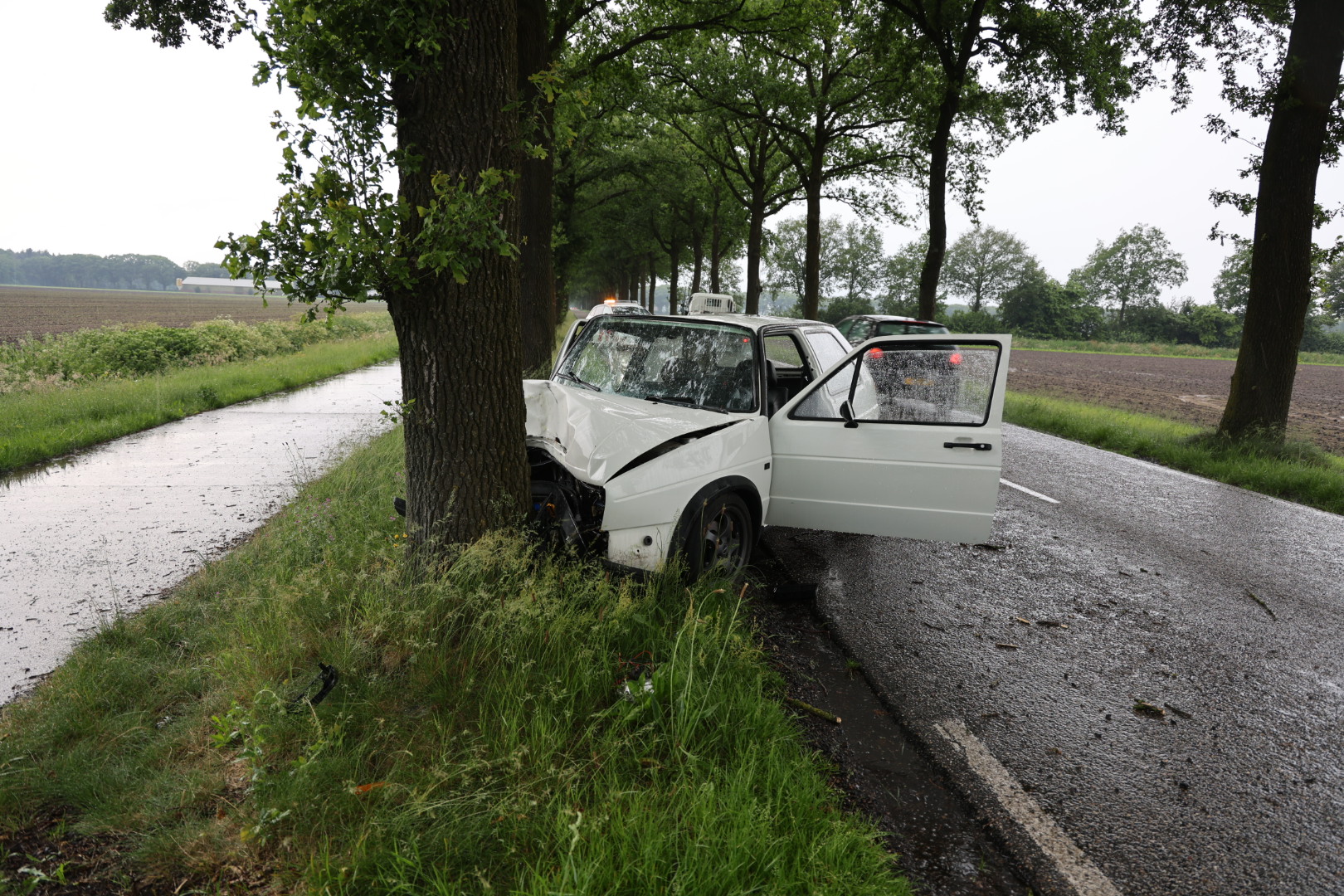 Automobilist gewond na botsing tegen boom