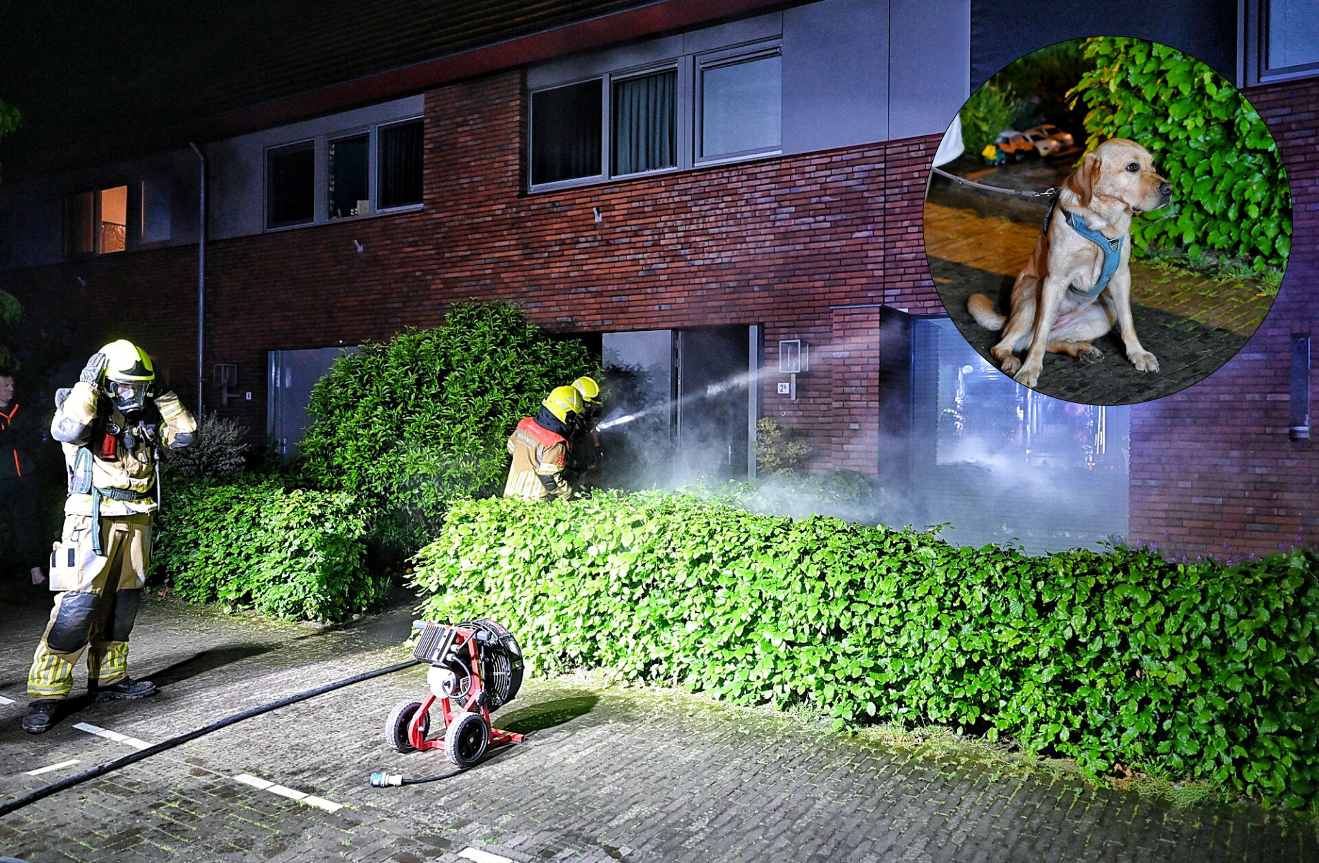 Hond redt bewoners van woningbrand