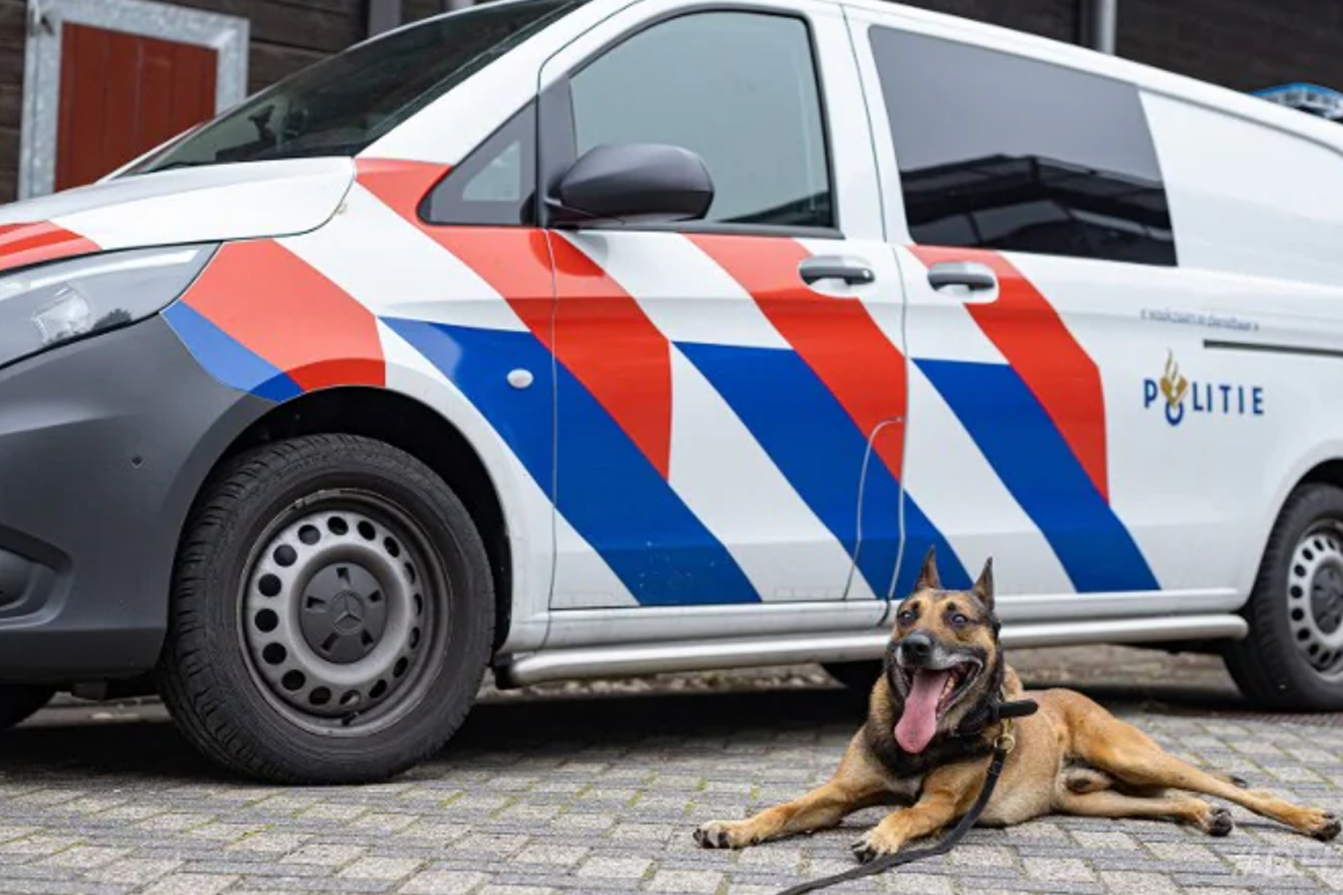Verkeersruzie escaleert: hond bijt verdachte, man aangehouden