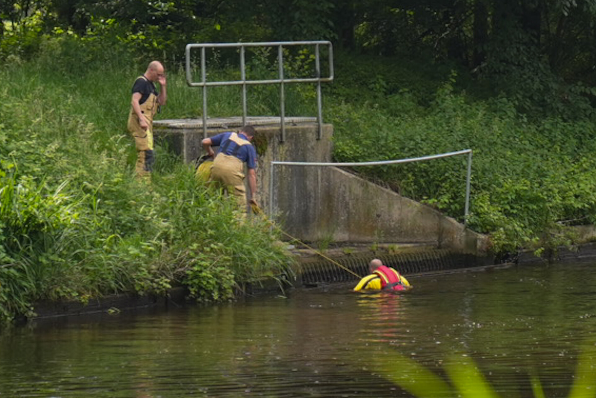 Brandweer redt ree uit kanaal