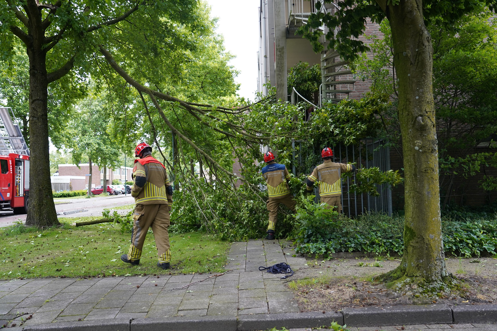 Grote tak breekt af tijdens harde wind en valt op galerij