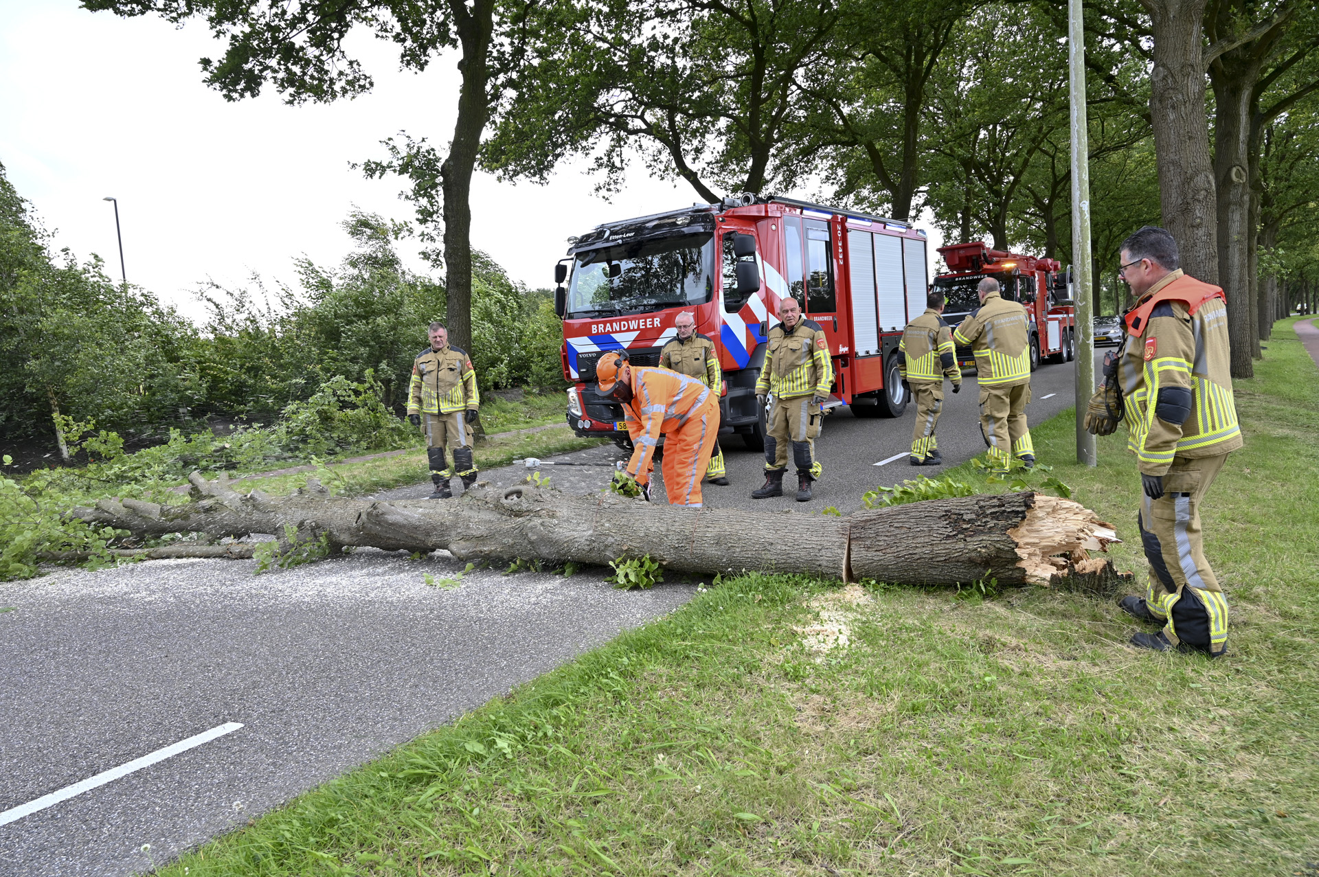 Boom waait om en blokkeert weg