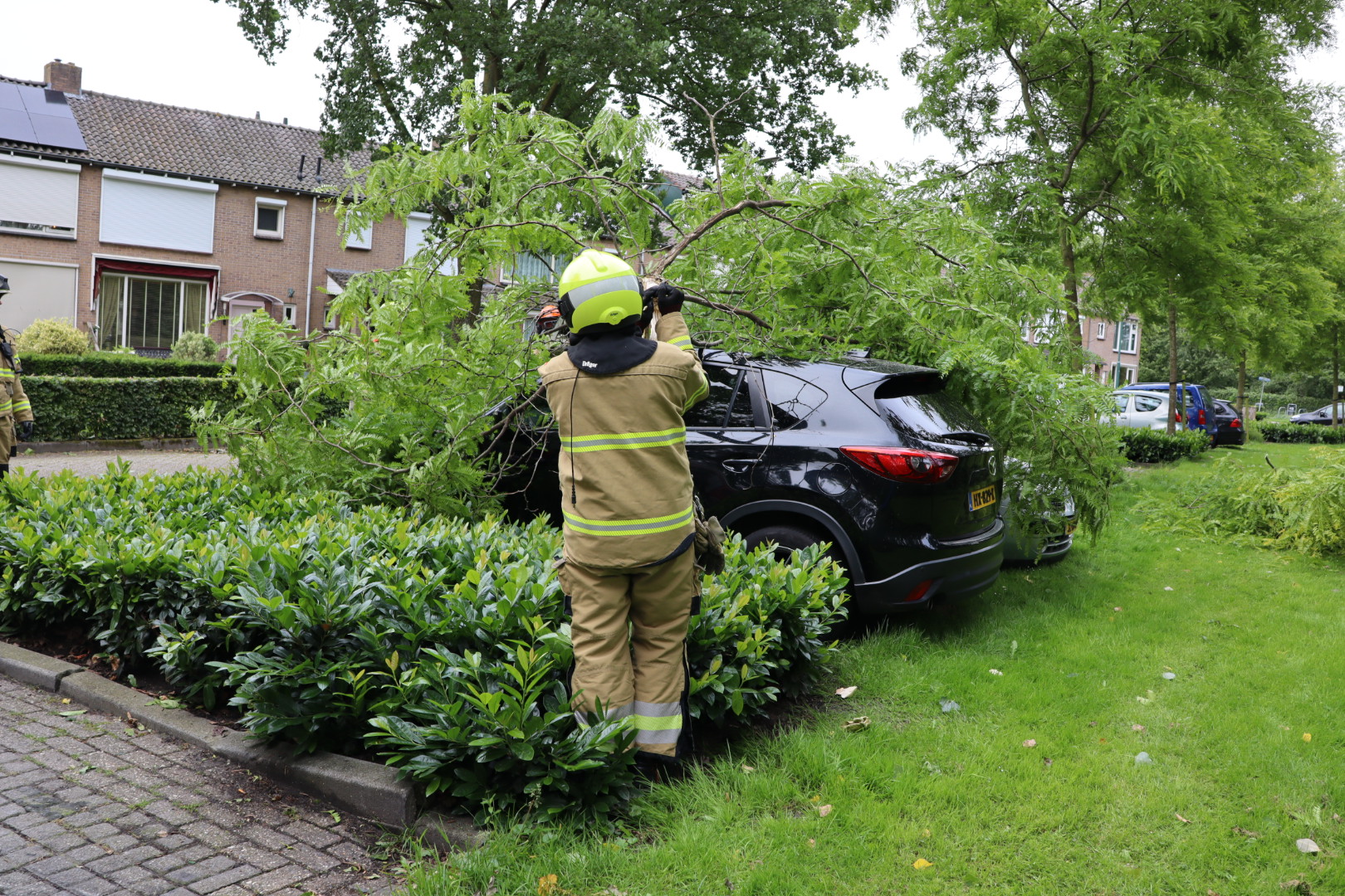 Boom breekt af en valt op auto