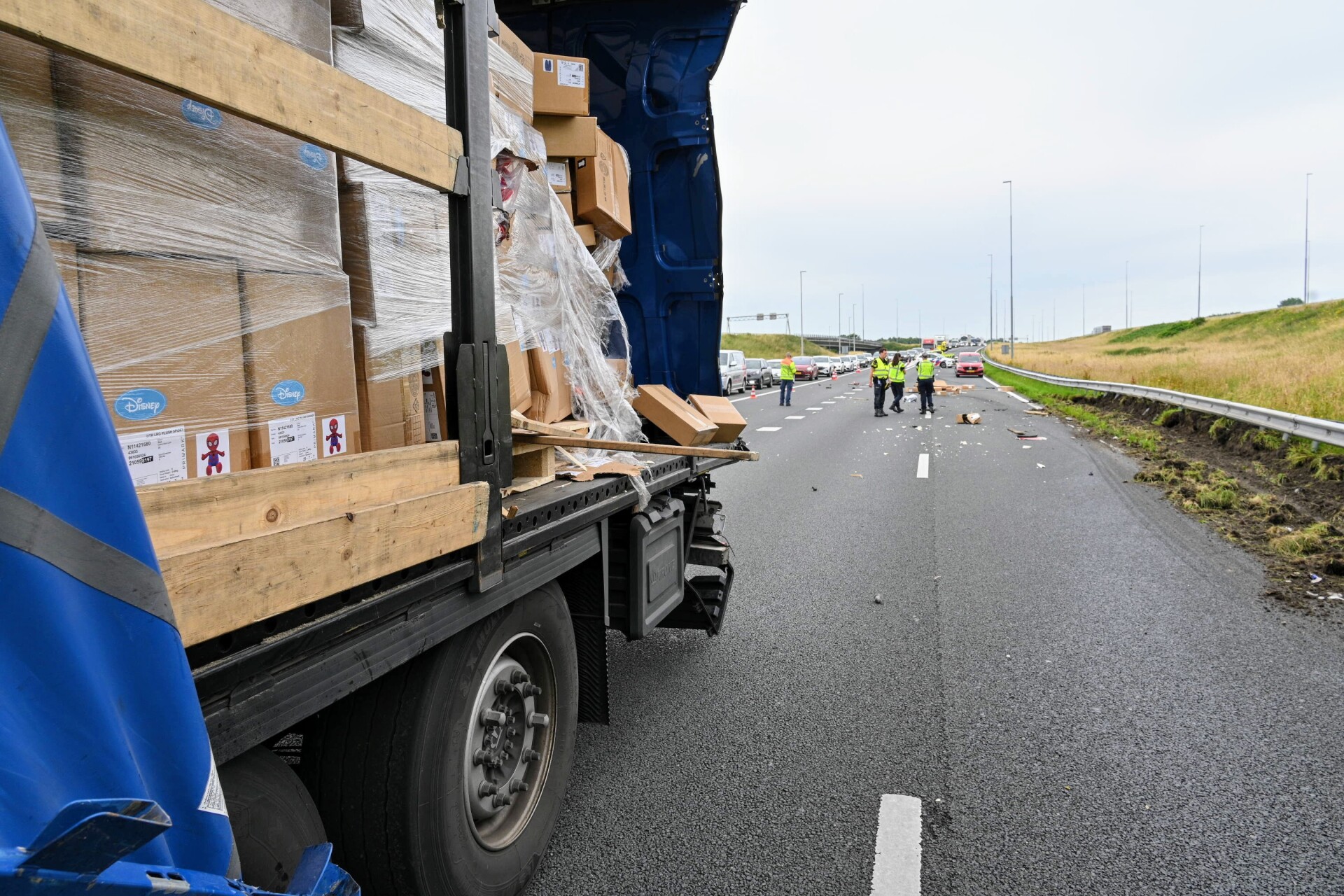 Vrachtwagens botsen op snelweg door overstekende ganzen, twee ganzen dood