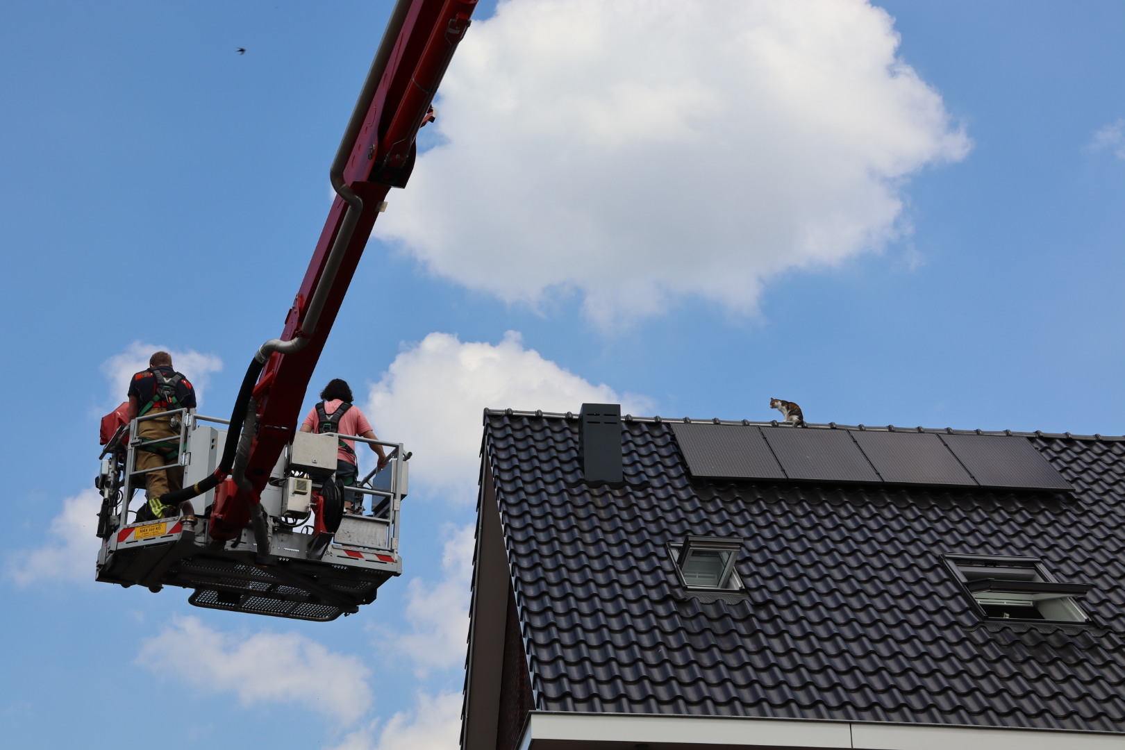 Brandweer komt in actie om kat te redden