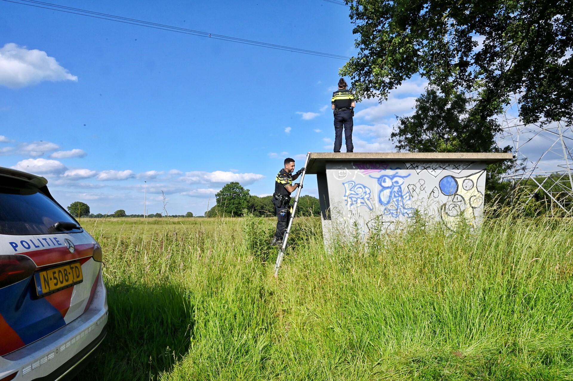 Grote zoekactie vanwege ontsnapte serval