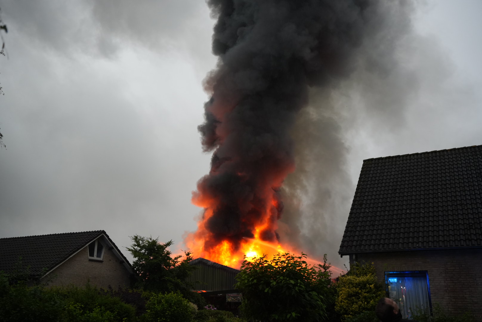 Zeer grote brand bij witlofkwekerij