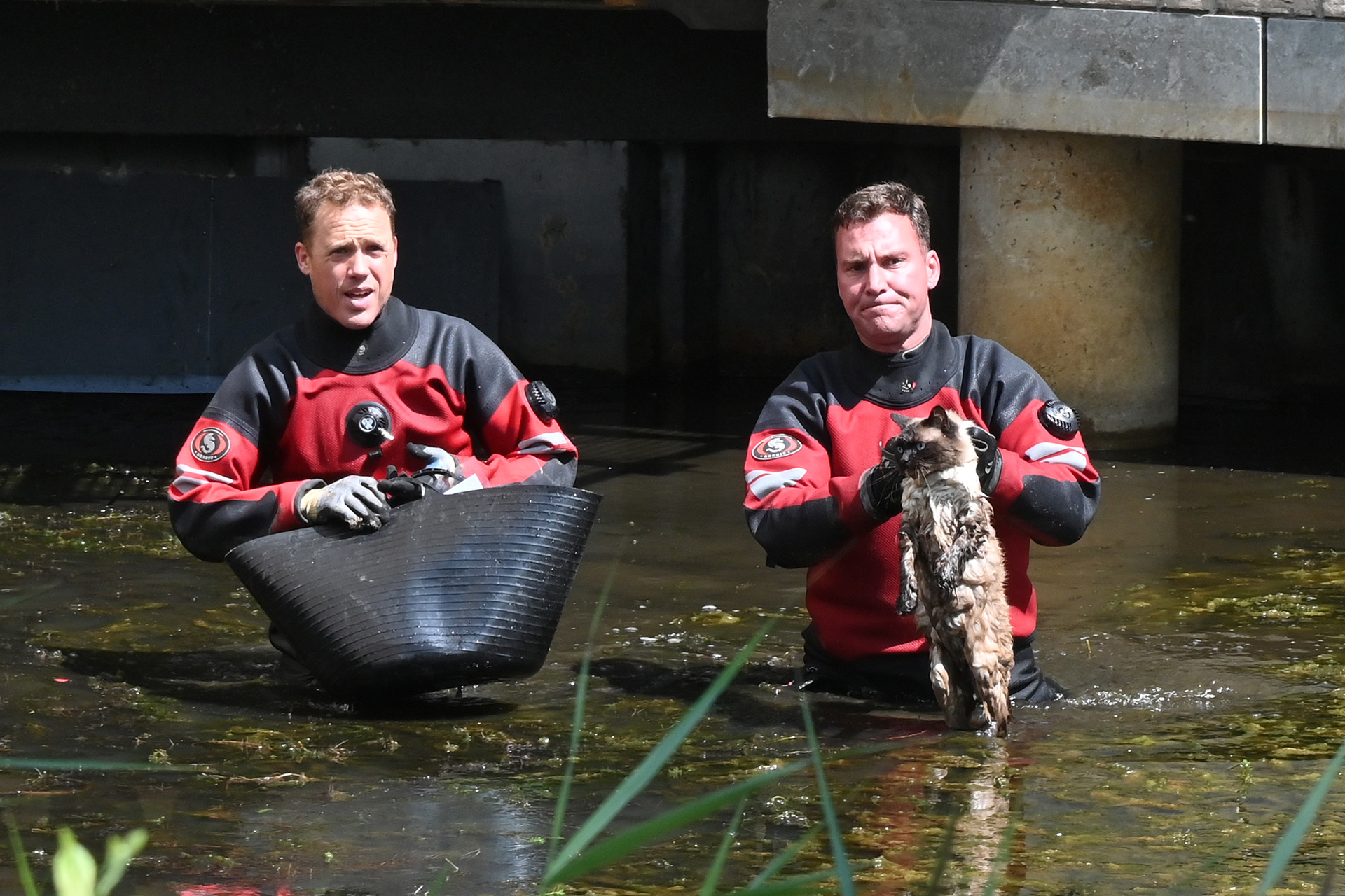 Kat al acht dagen zoek; blijkt in kruipruimte te zitten van flat