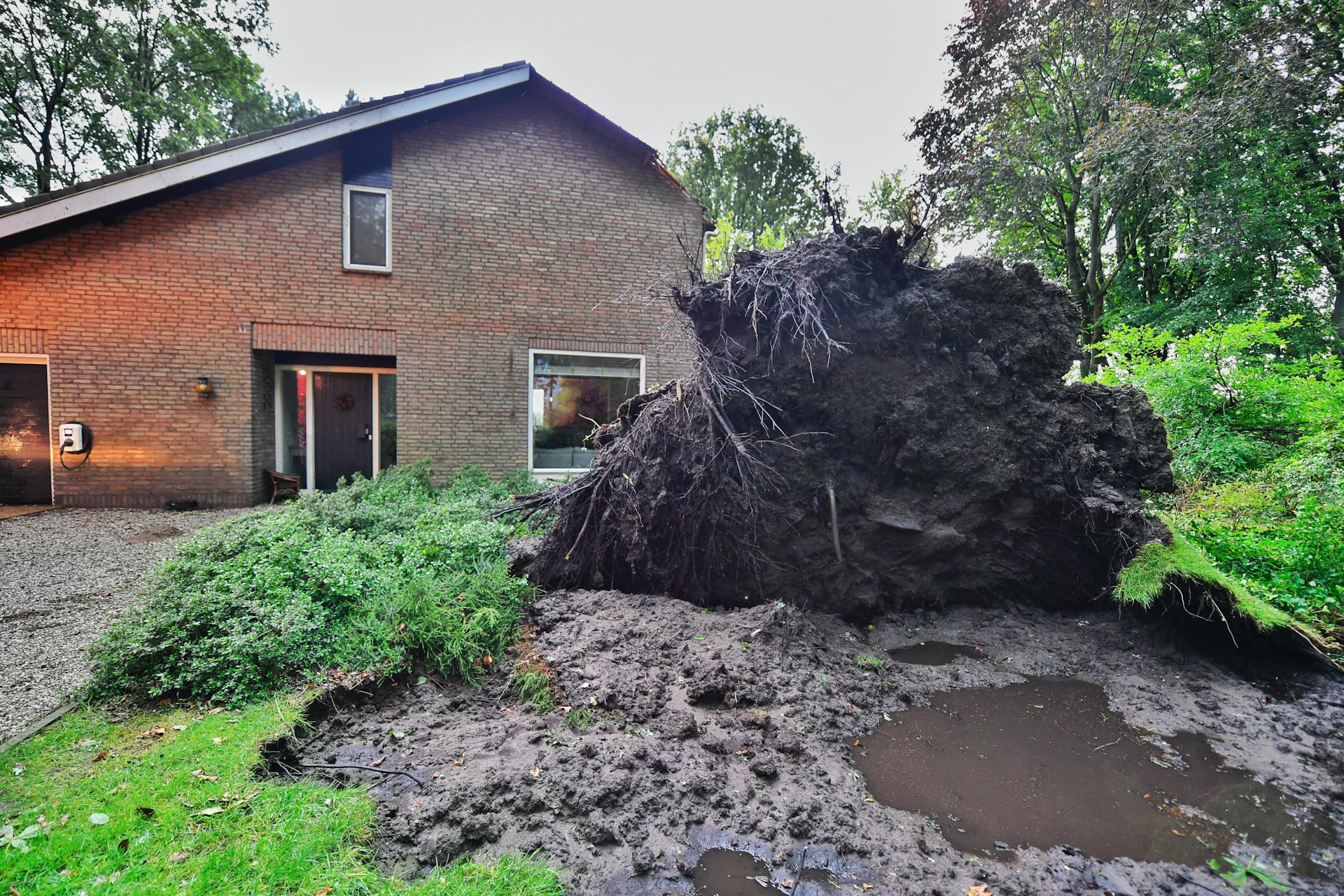Afgebroken takken, omgevallen bomen tegen woningen en gaslekken door noodweer