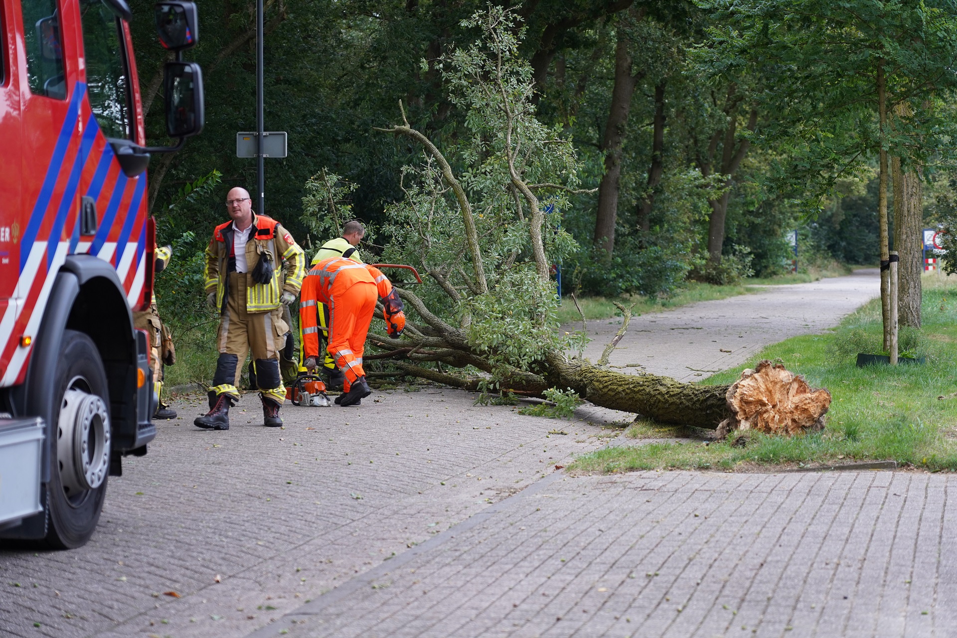 Boom waait om tijdens hevige windstoten