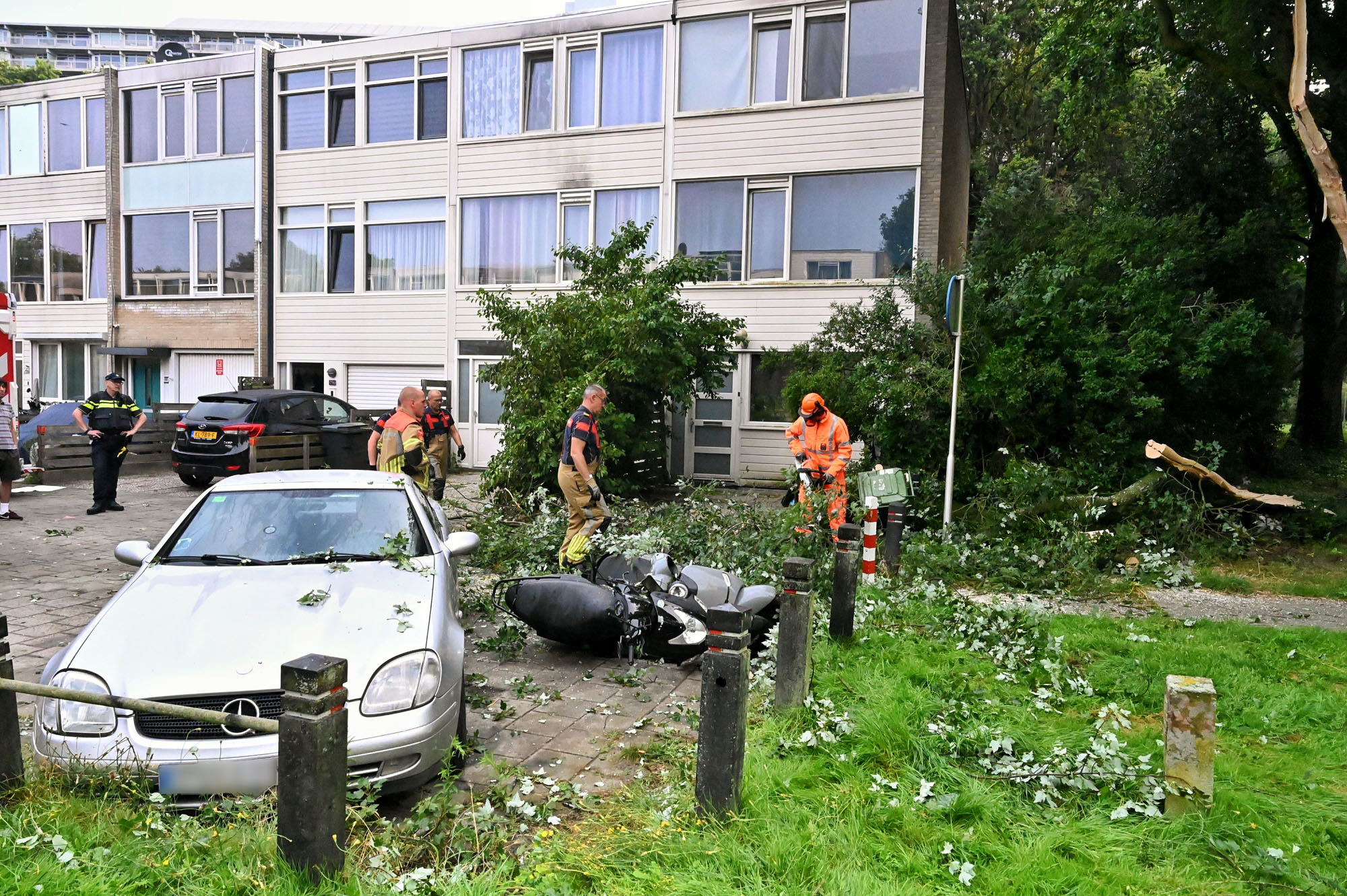 Deel van boom valt op auto en scooters