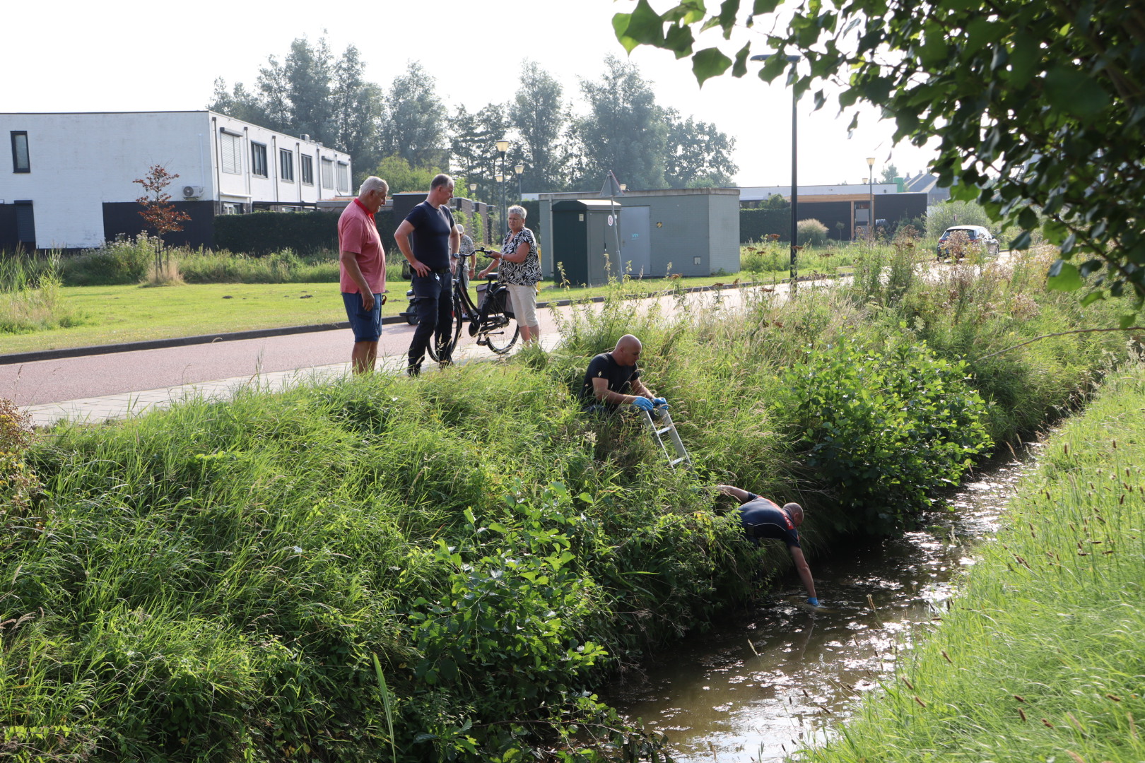 Brandweer haalt overleden lammetje uit sloot