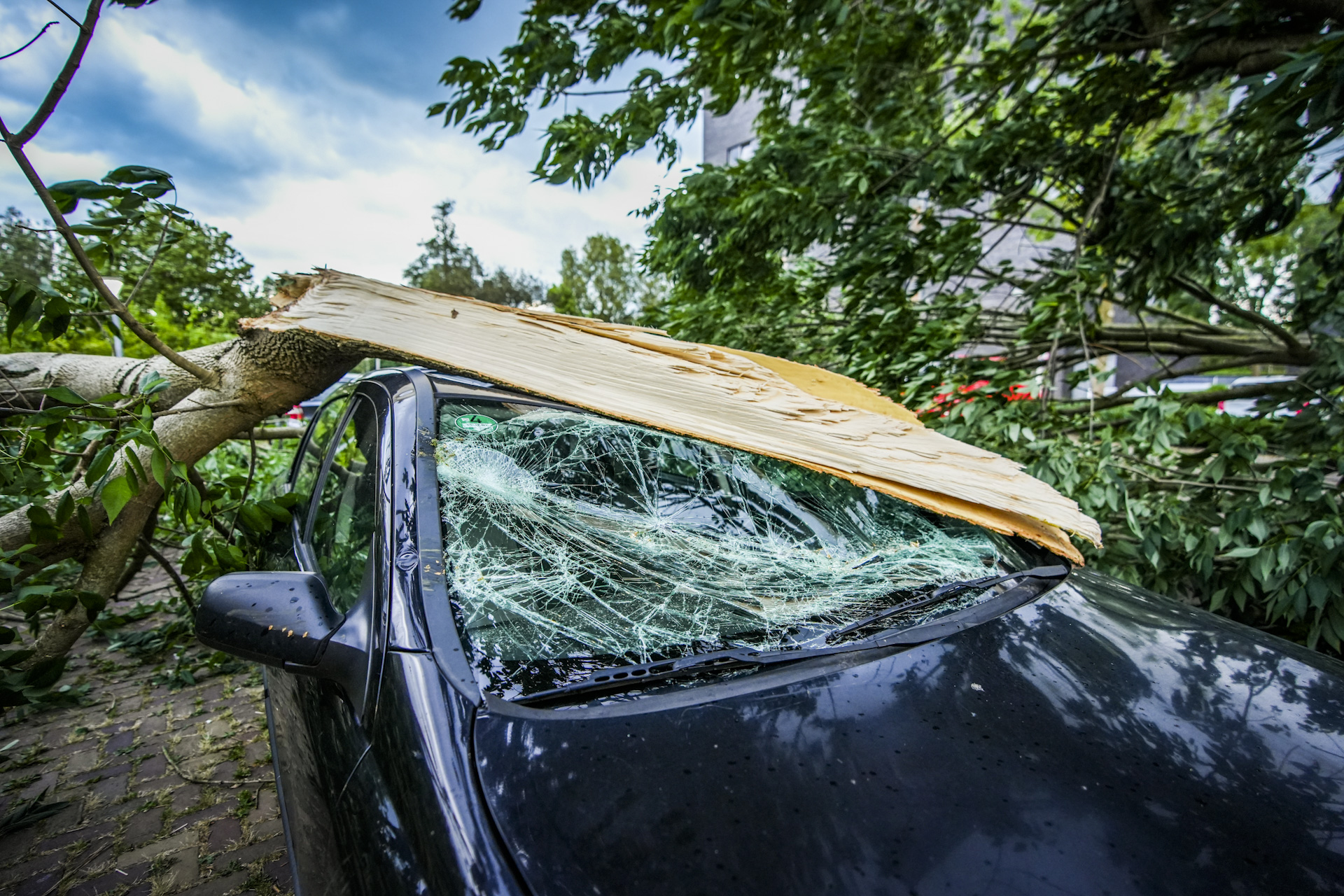 Bomen op auto’s door zware windstoten en onweersbuien