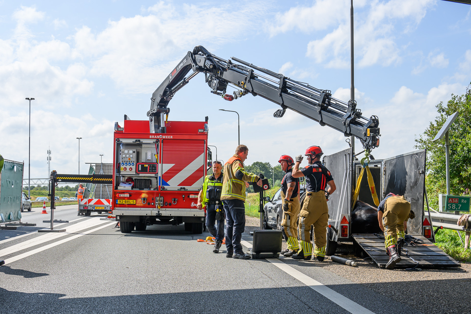 Paard zakt door trailer op snelweg, dier uit lijden verlost