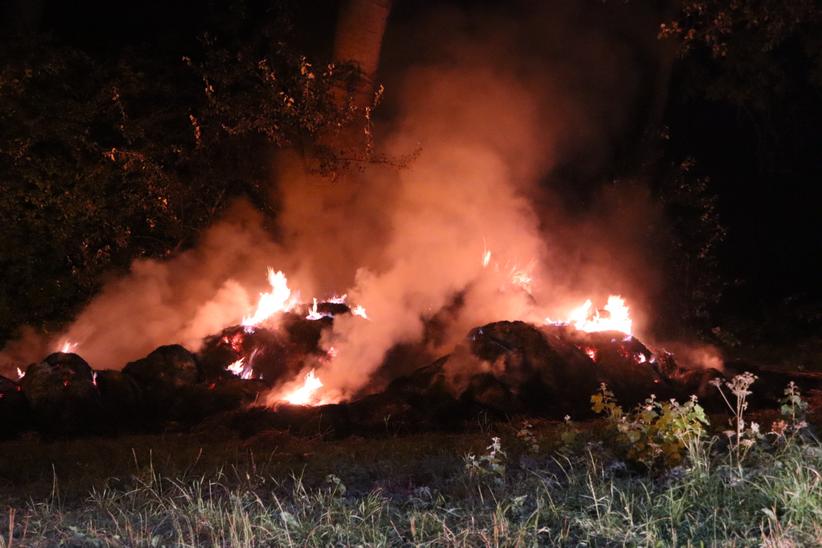 Grote berg gras in brand, brandweer druk met blussen