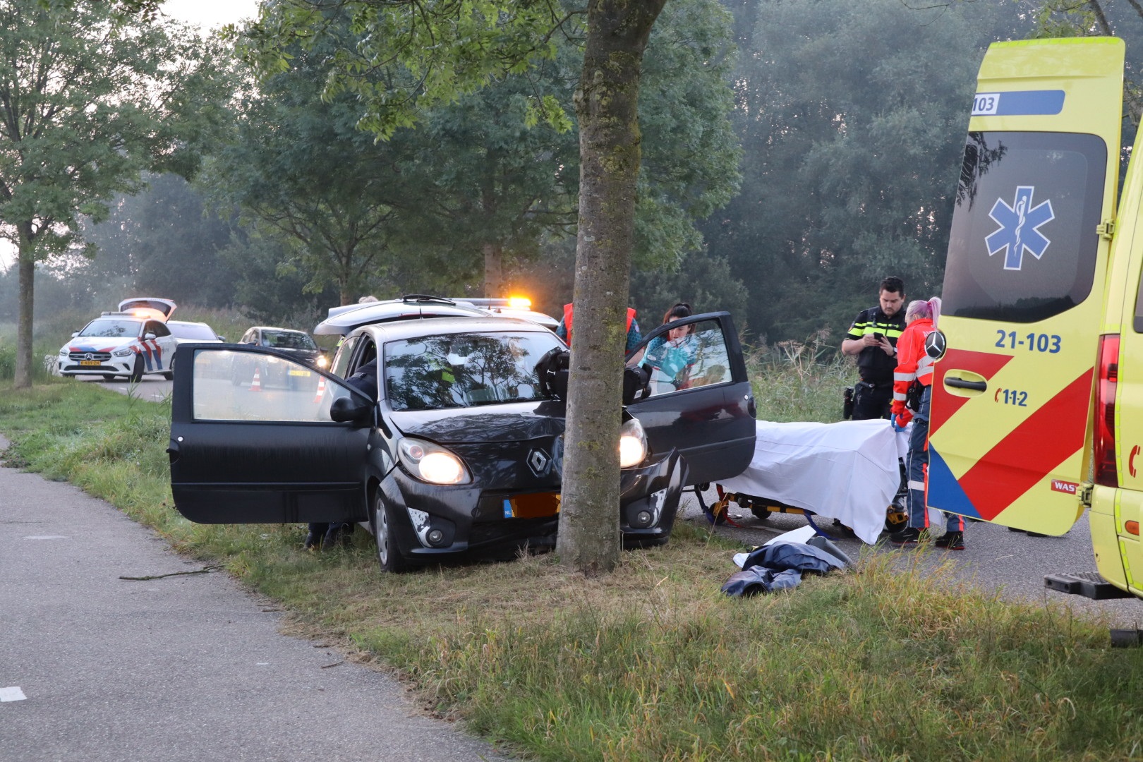 Auto botst tegen boom, bestuurder gewond