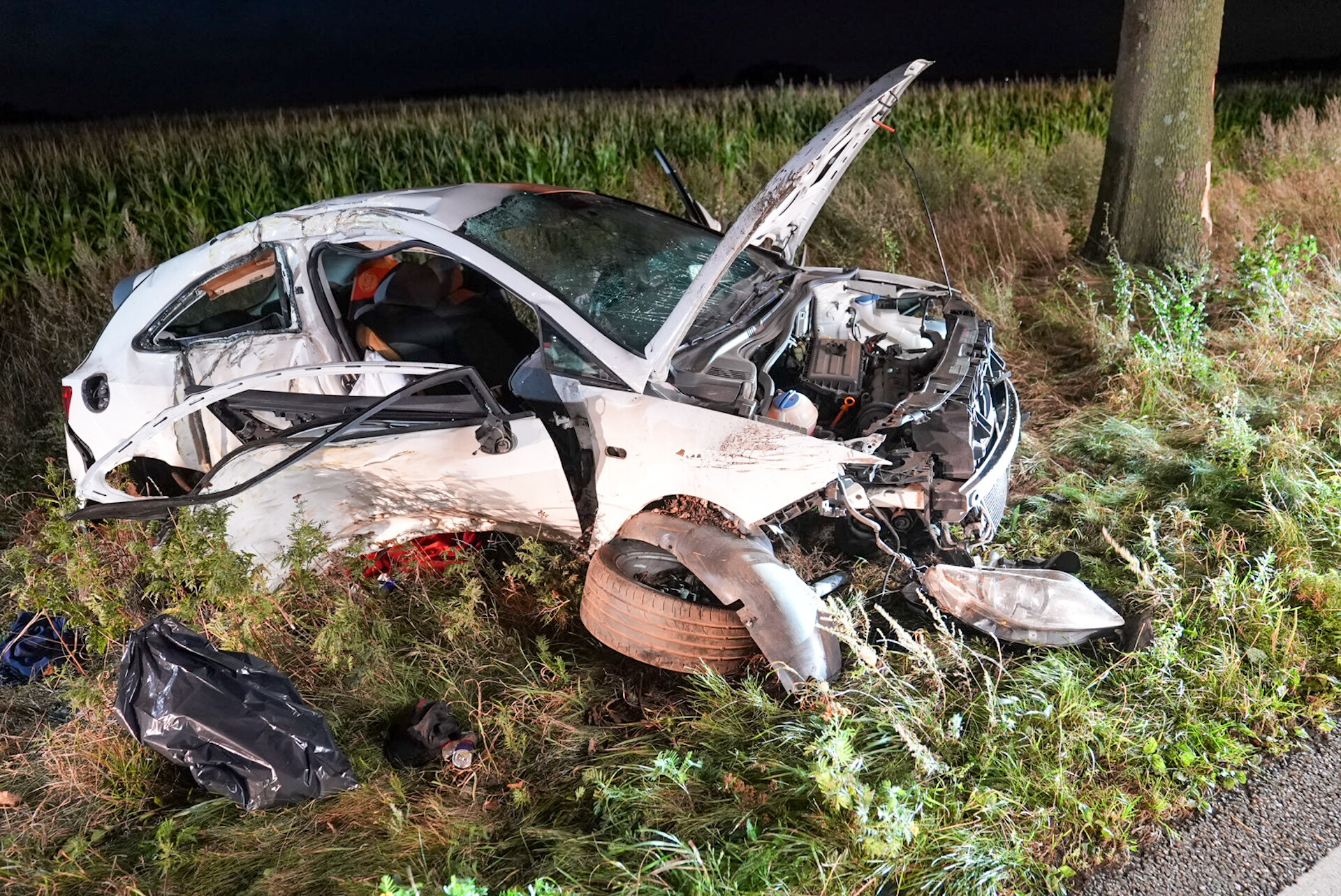 Auto botst tegen boom, bestuurder gereanimeerd