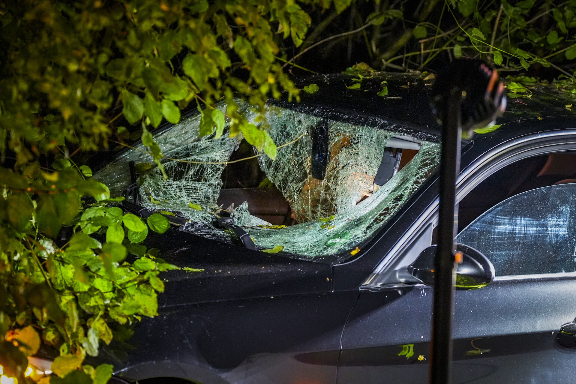 Bizar: Man springt van brug, belandt op schoot bestuurder, auto crasht