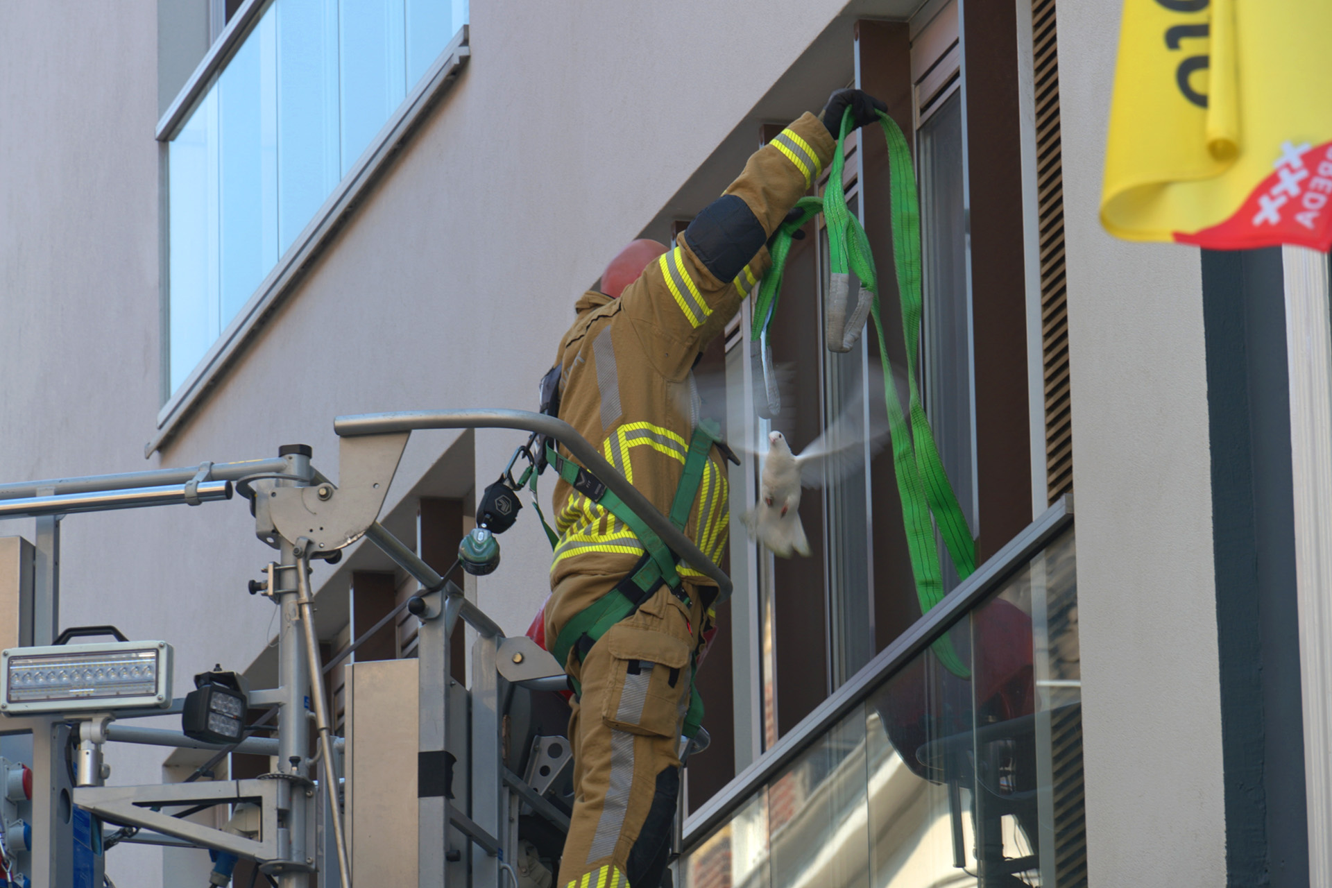 Brandweer krijgt applaus na bevrijding van duif