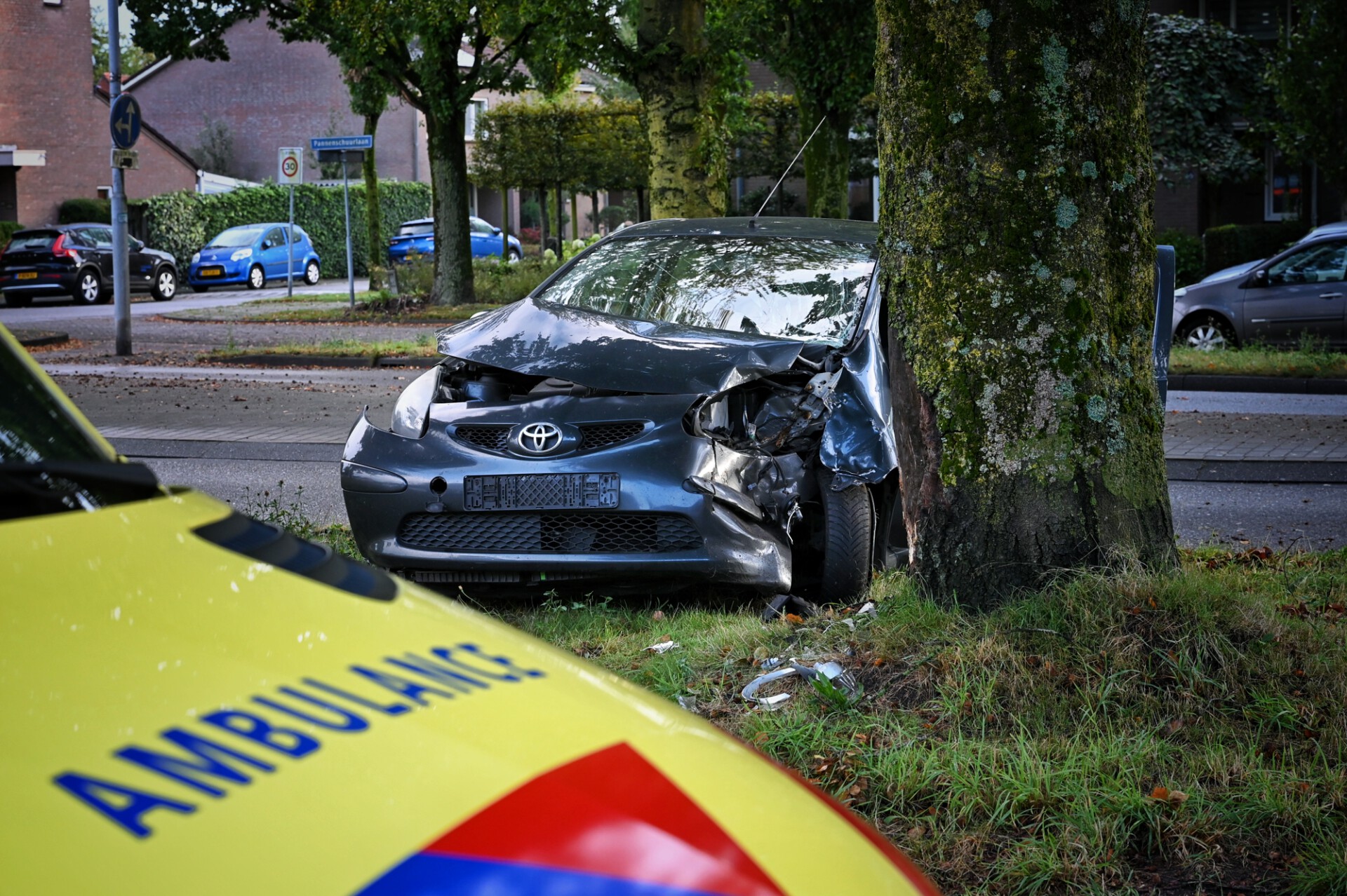 Automobilist botst tegen boom en raakt gewond