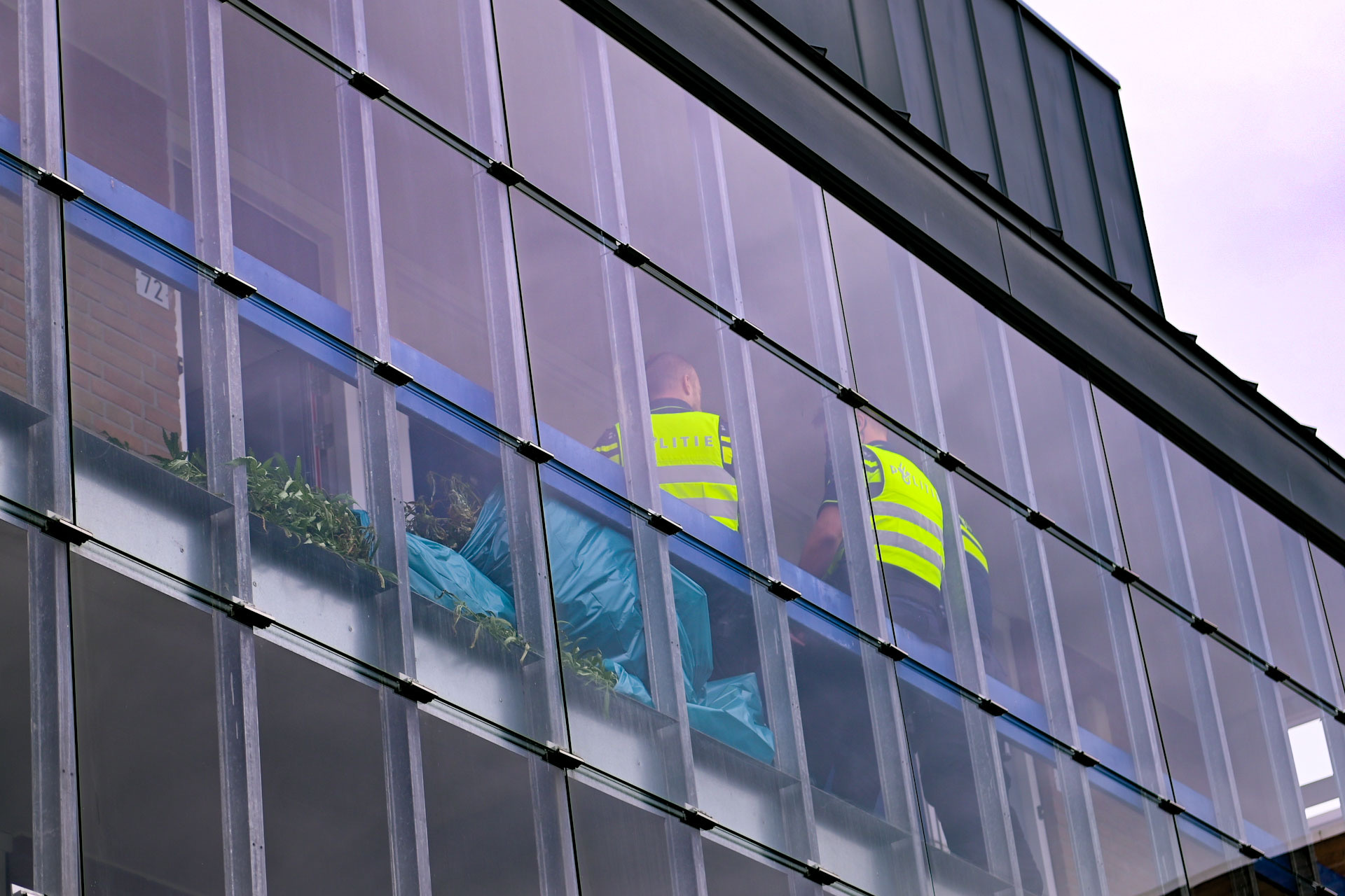 Wietkwekerij opgerold in appartement