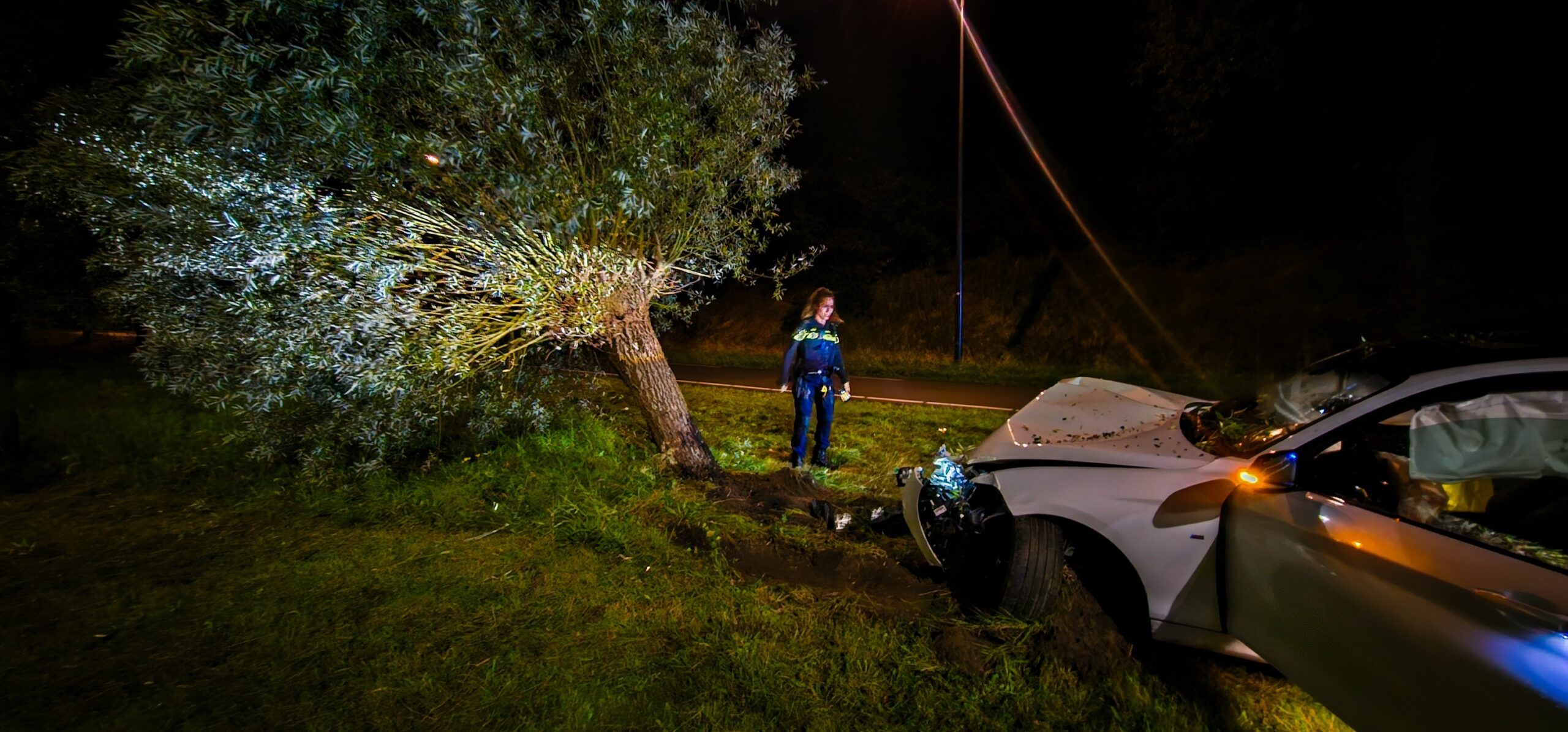 Dronken bestuurder ramt vlaggenmasten en boom