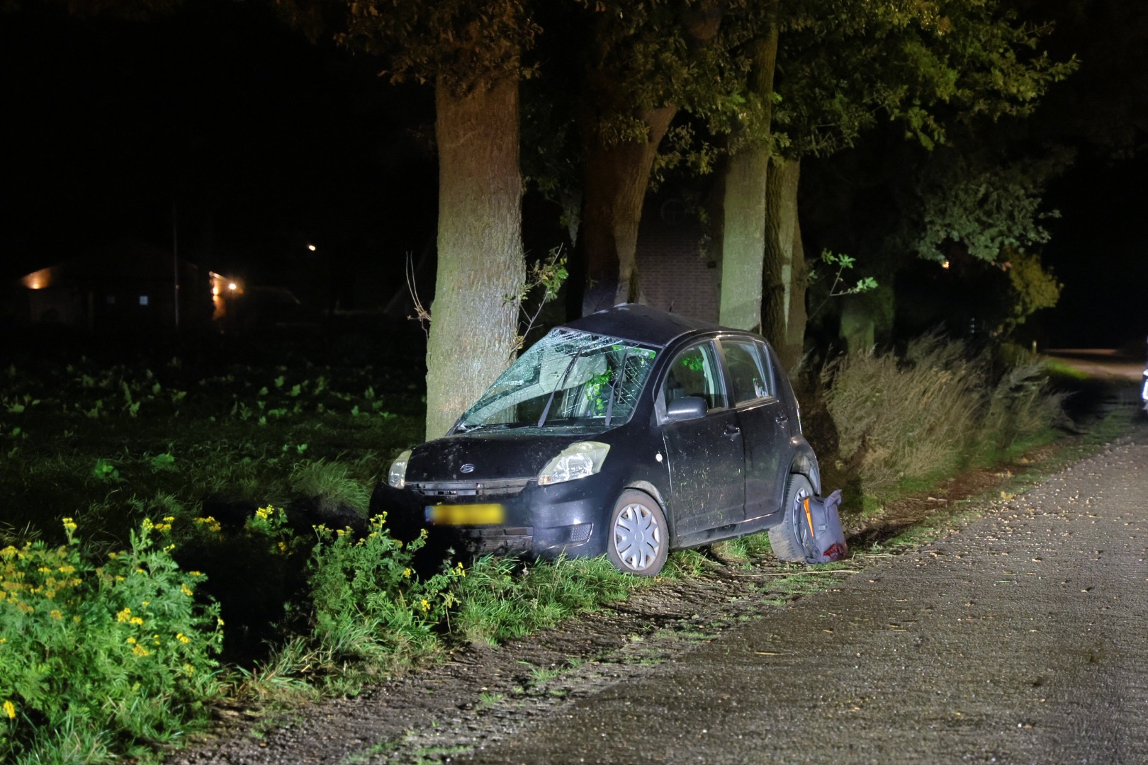 UPDATE: Vrouw (21) overleden na botsing tegen boom: hulpdiensten konden niets meer betekenen