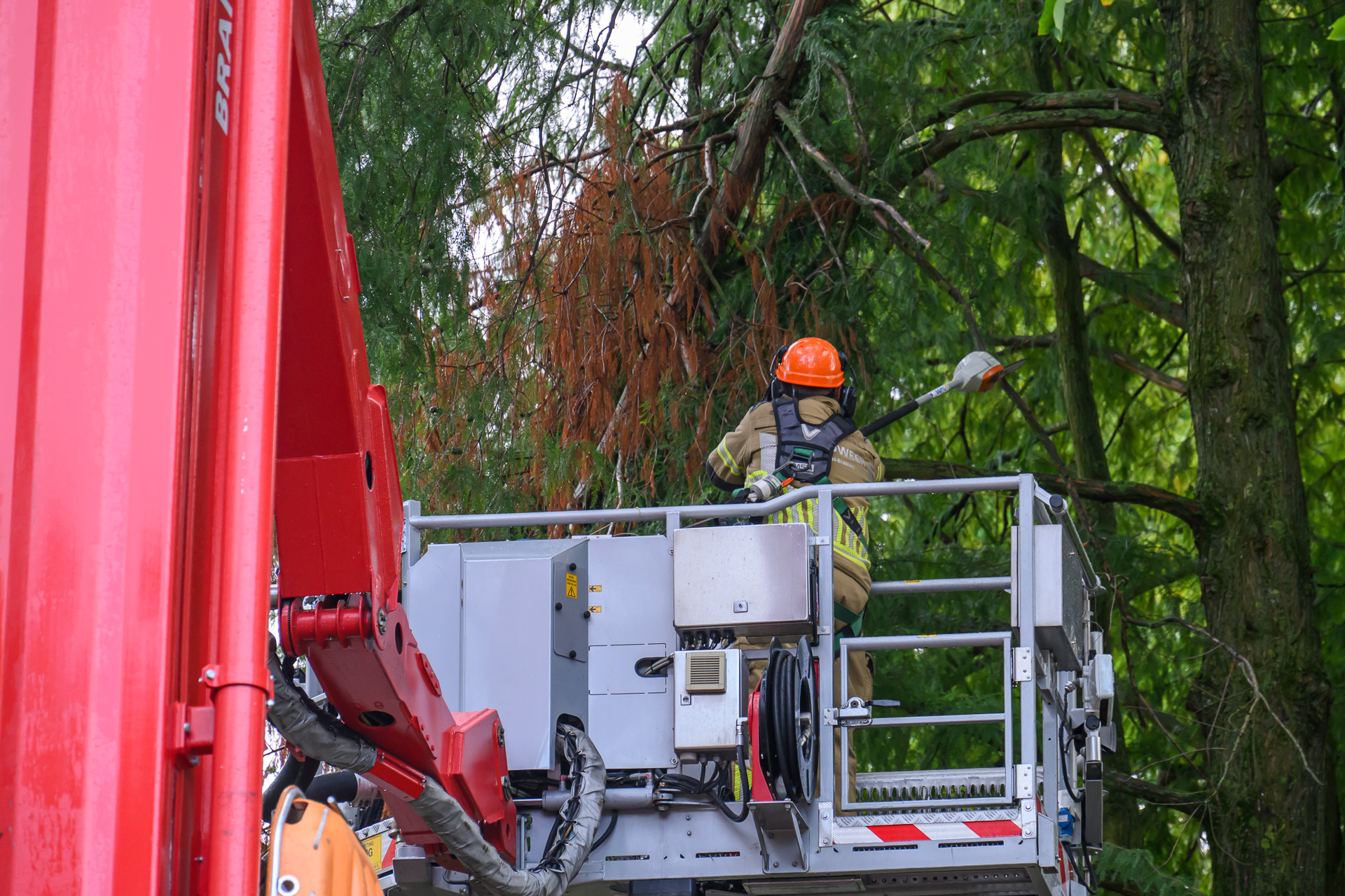 Fietspad afgesloten vanwege loshangende tak