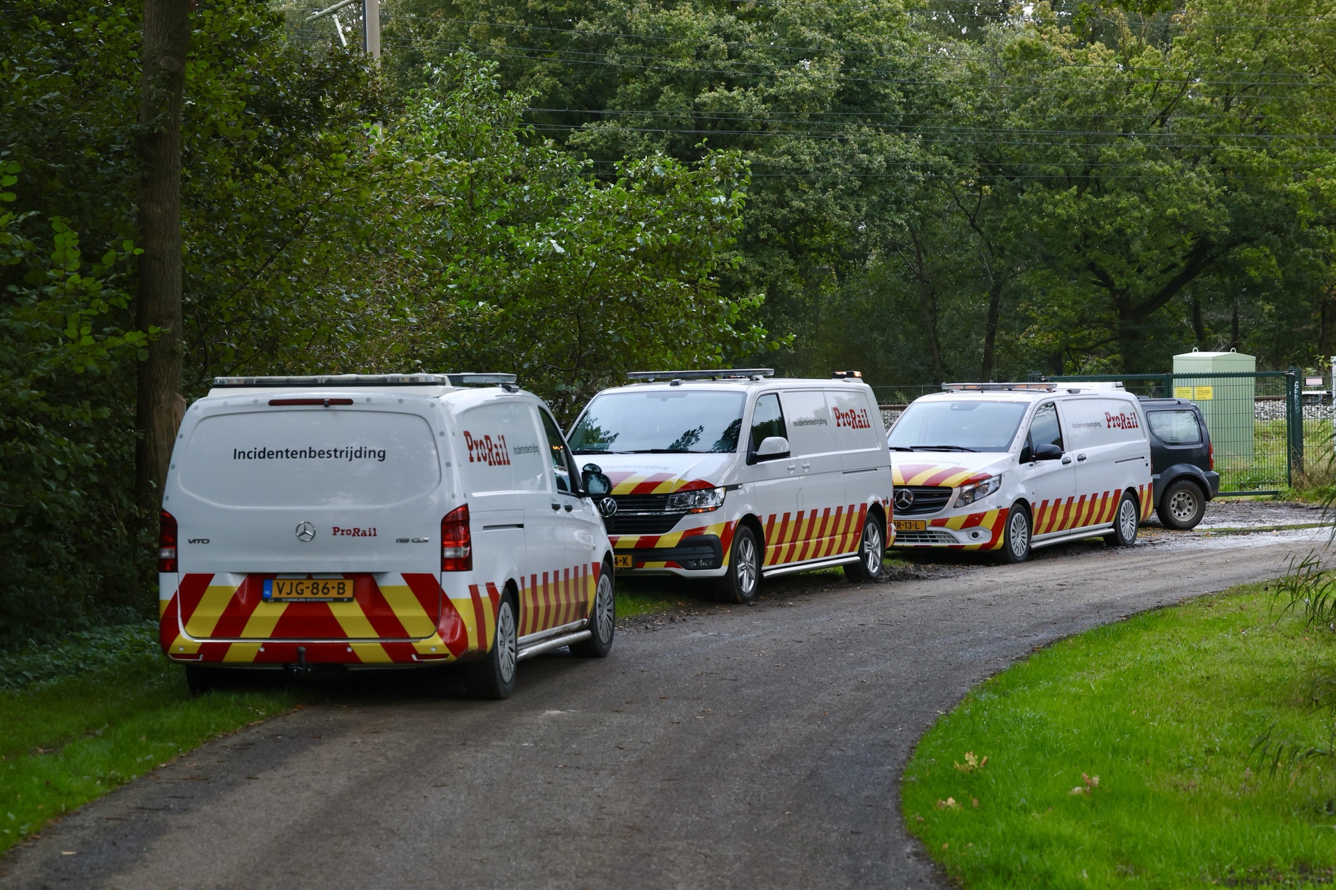 Treinverkeer rijdt stapvoets vanwege losgebroken koe