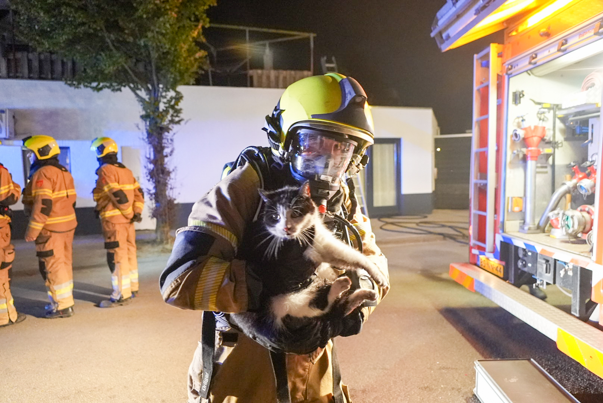 Poes gered bij woningbrand boven cafetaria