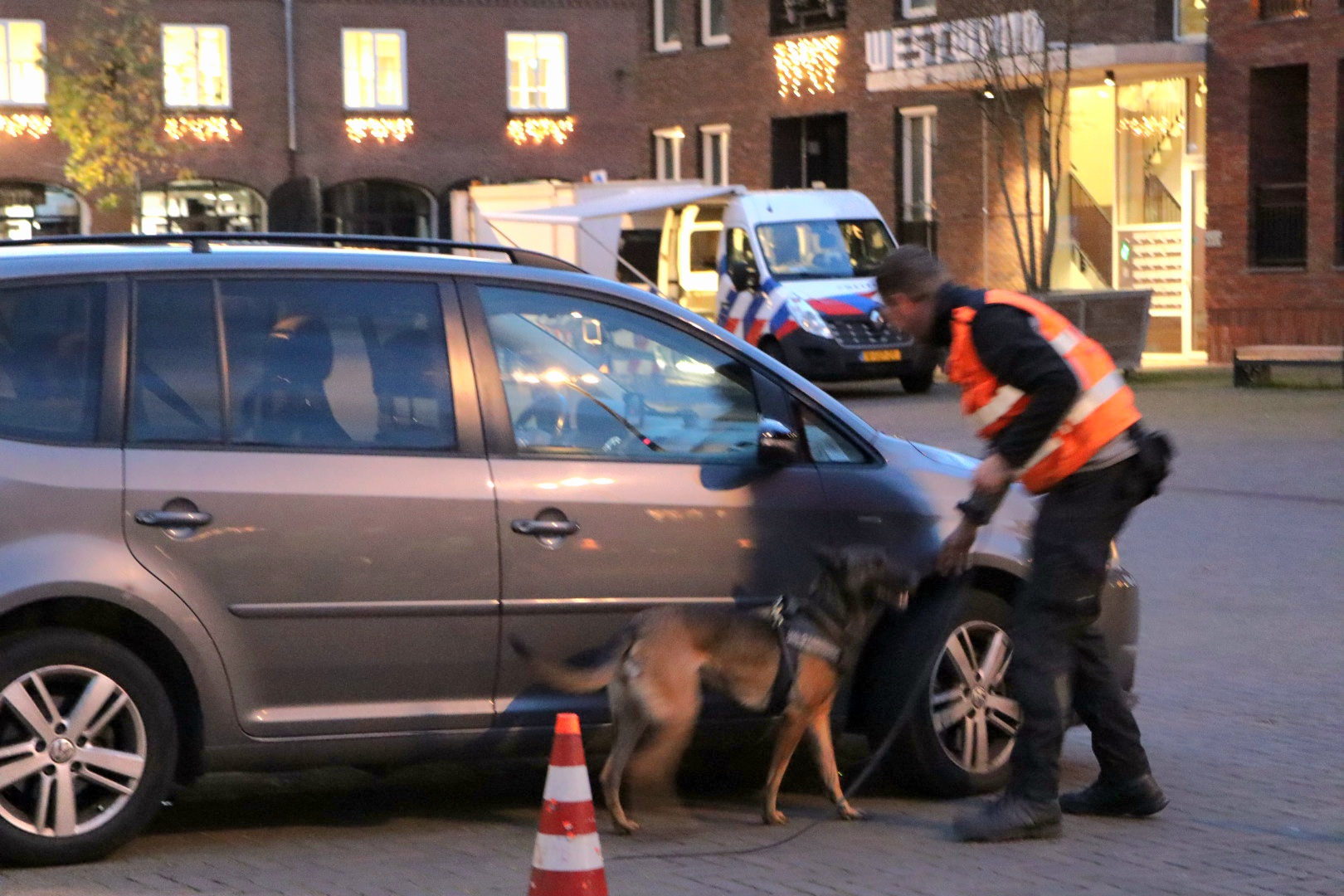 Grote politiecontrole in centrum