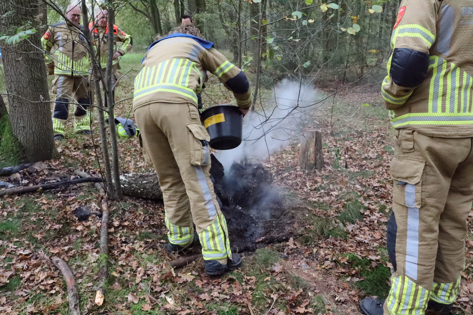 Brandweer blust dmeulende boomstronk