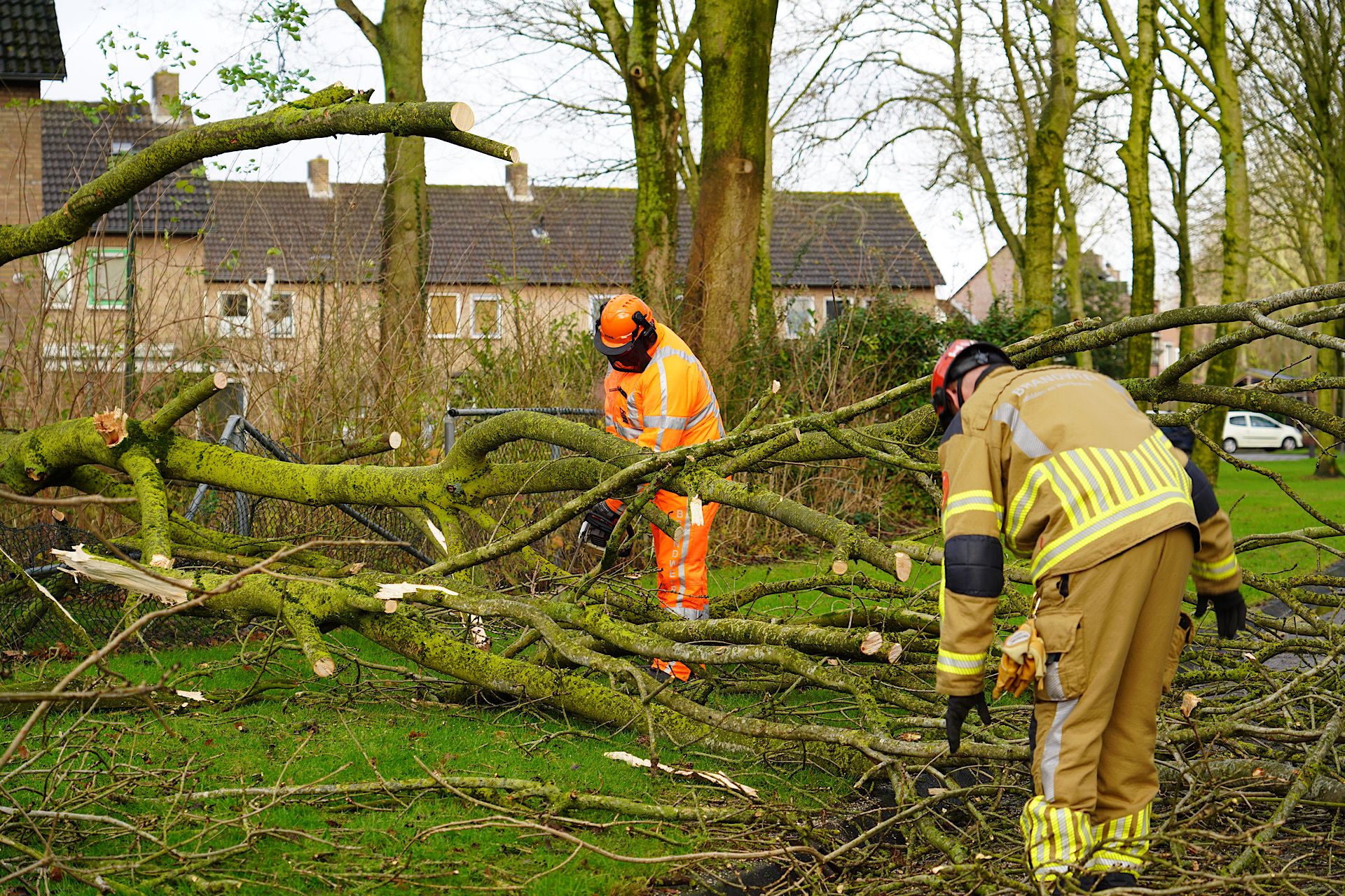Boom waait om tijdens hevige windstoten