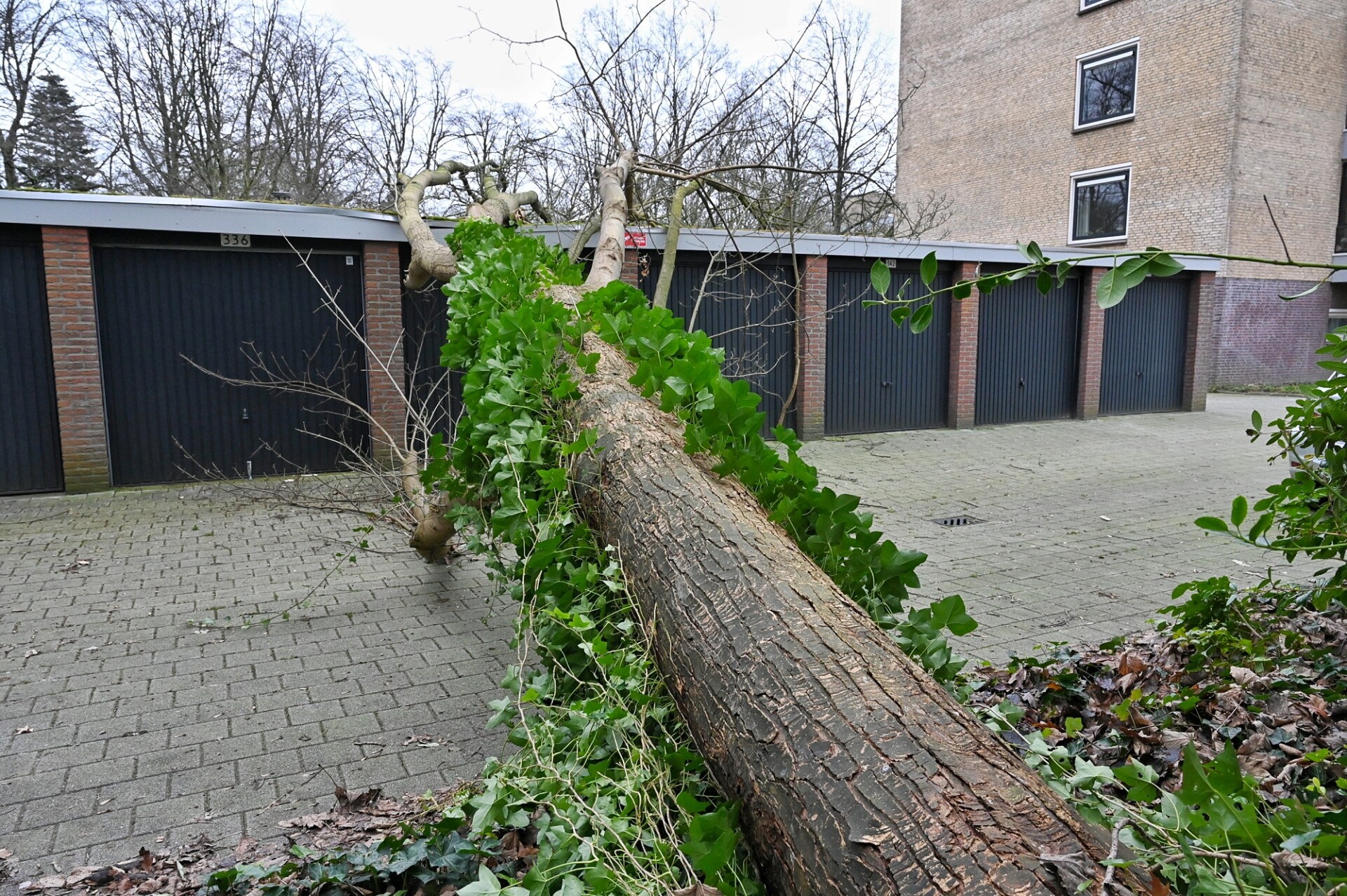 Boom waait om en valt op garageboxen