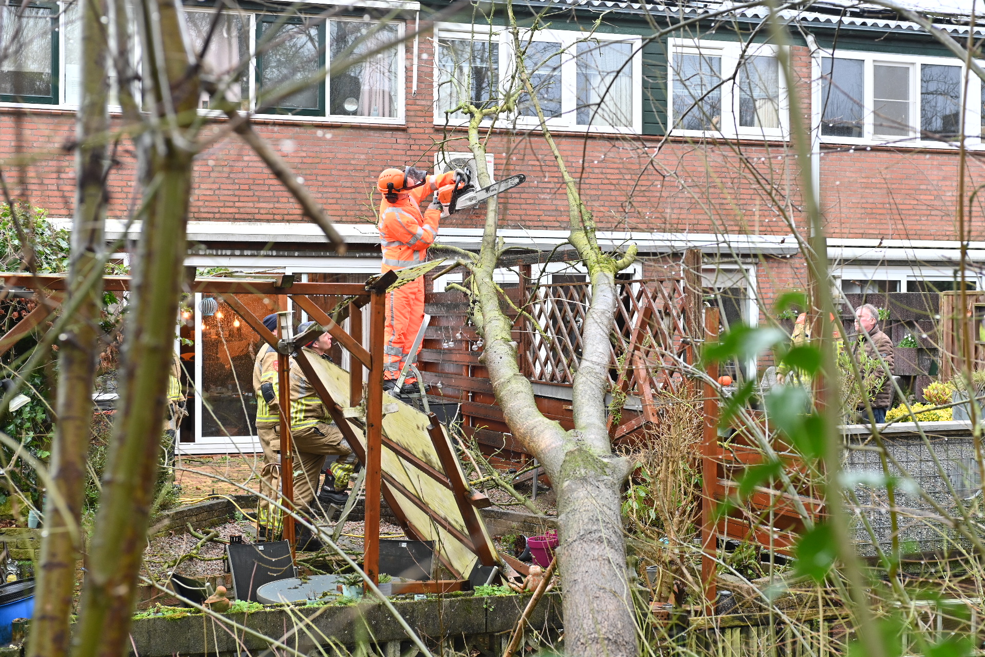 Omgewaaide boom belandt in achtertuin van woning