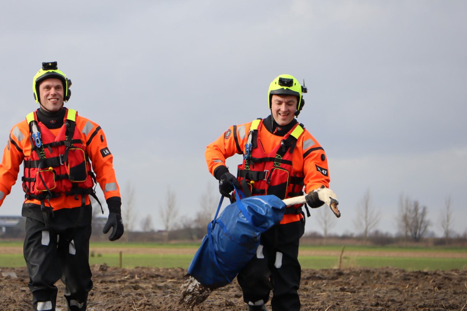 Twee zwanen gered uit modderig weiland