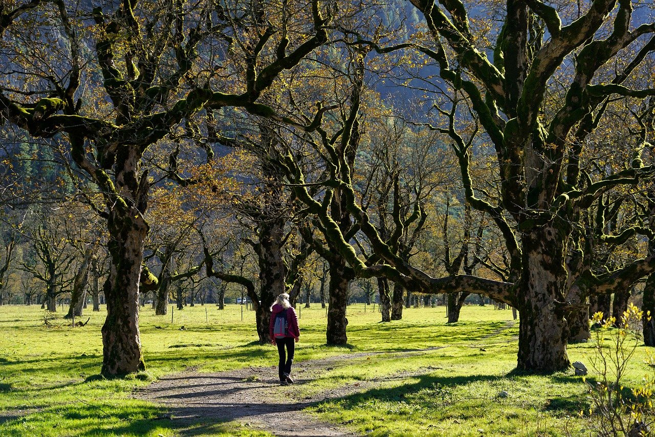 Beste Wandelingen in de Buurt van Brabant