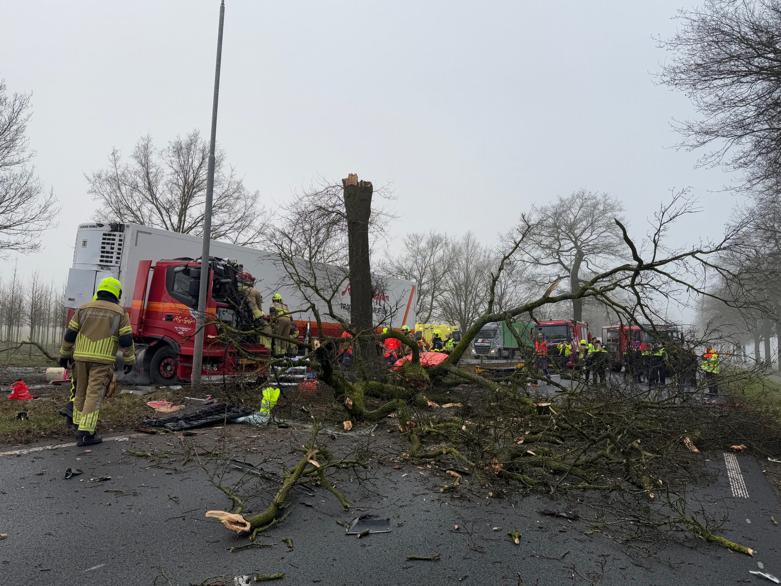 UPDATE: Truckchauffeur overleden door botsing tegen boom, weg dicht