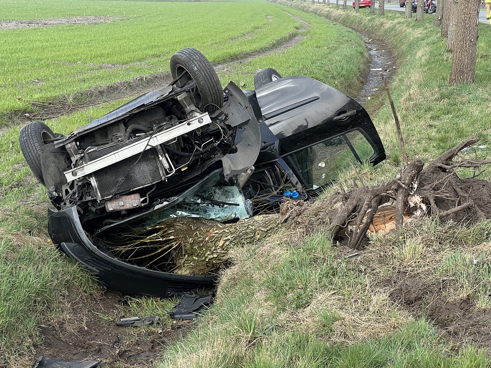 Boom door voorruit van auto bij ongeval, bestuurder zwaargewond