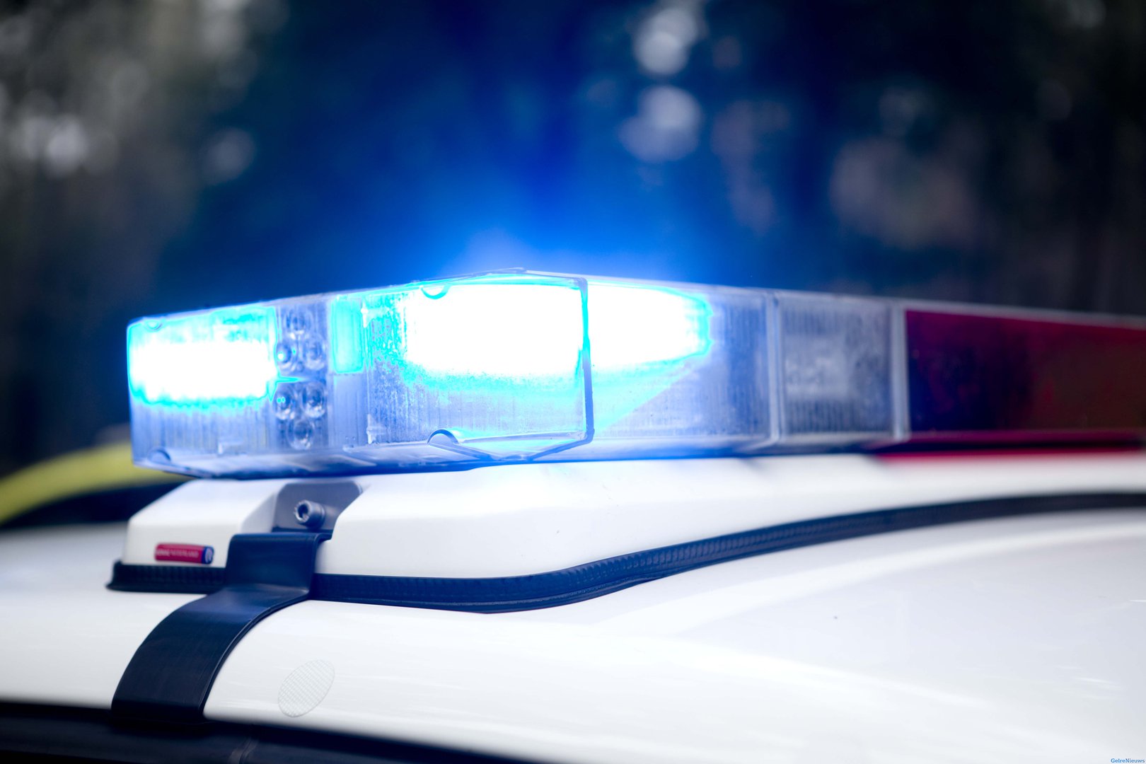 Man aangehouden na opzettelijk inrijden op drie zwanen, een zwaan overleden