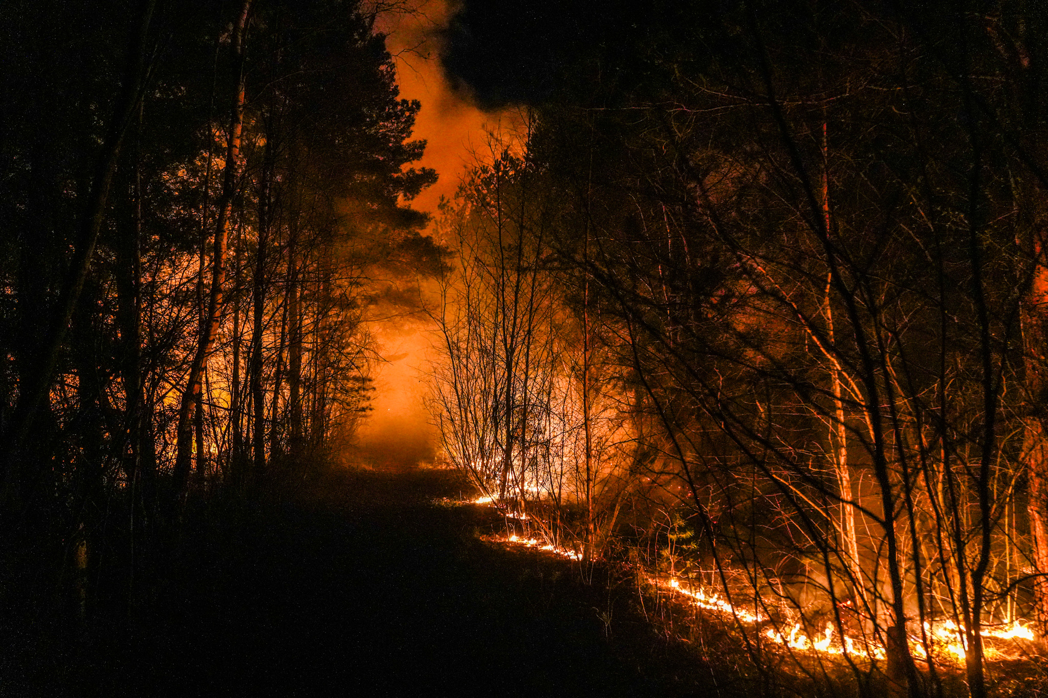 Grote natuurbrand lastig onder controle te krijgen door harde wind