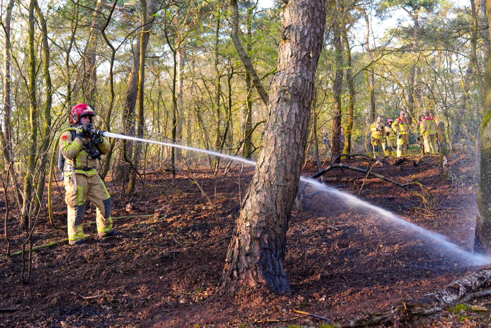 Brandweer heeft beginnende bosbrand snel onder controle
